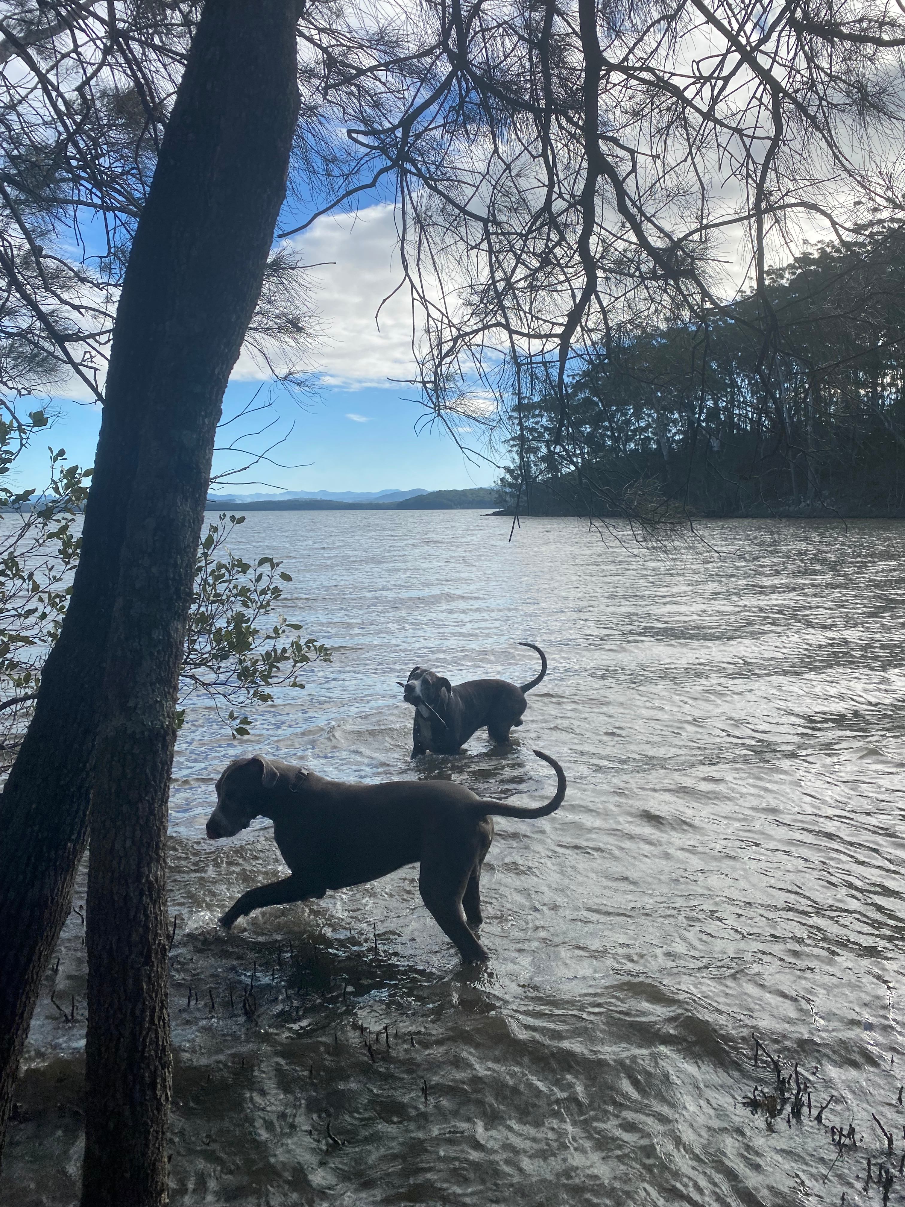 Queens lake