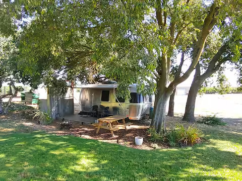 Seymour Ranch Vineyard in CA Delta