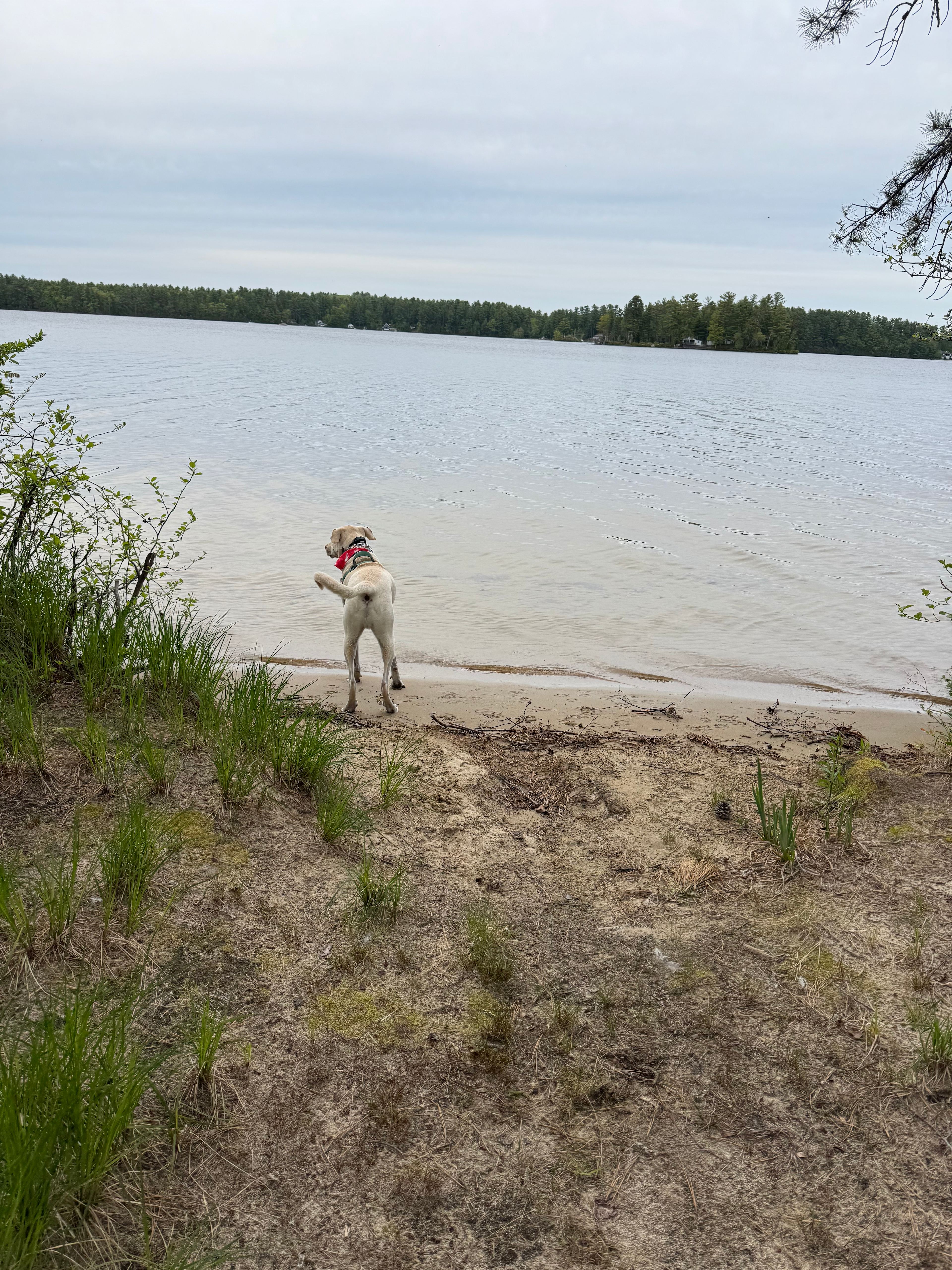 Island View At Kiwanis Beach
