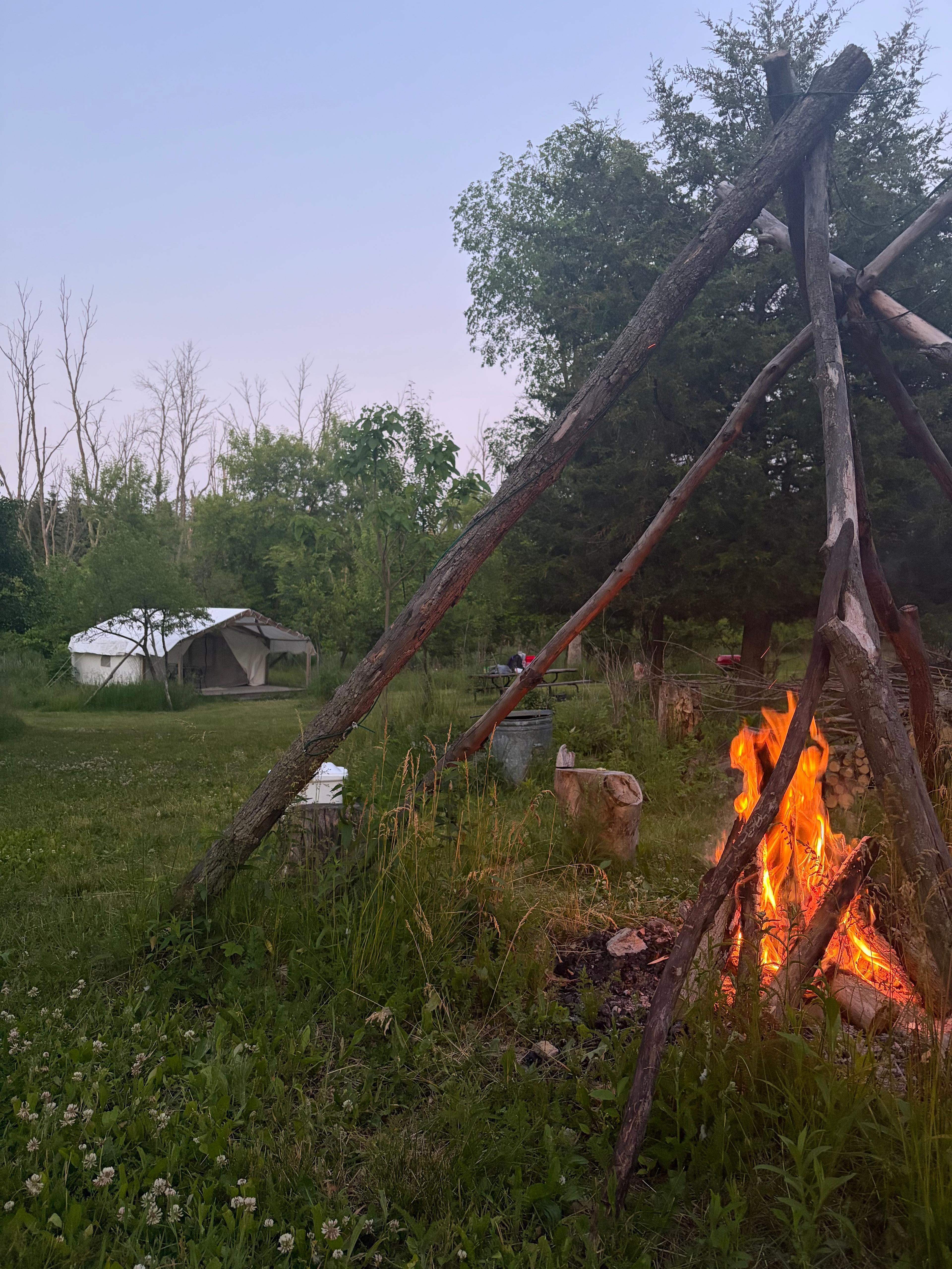 Paradise Farm