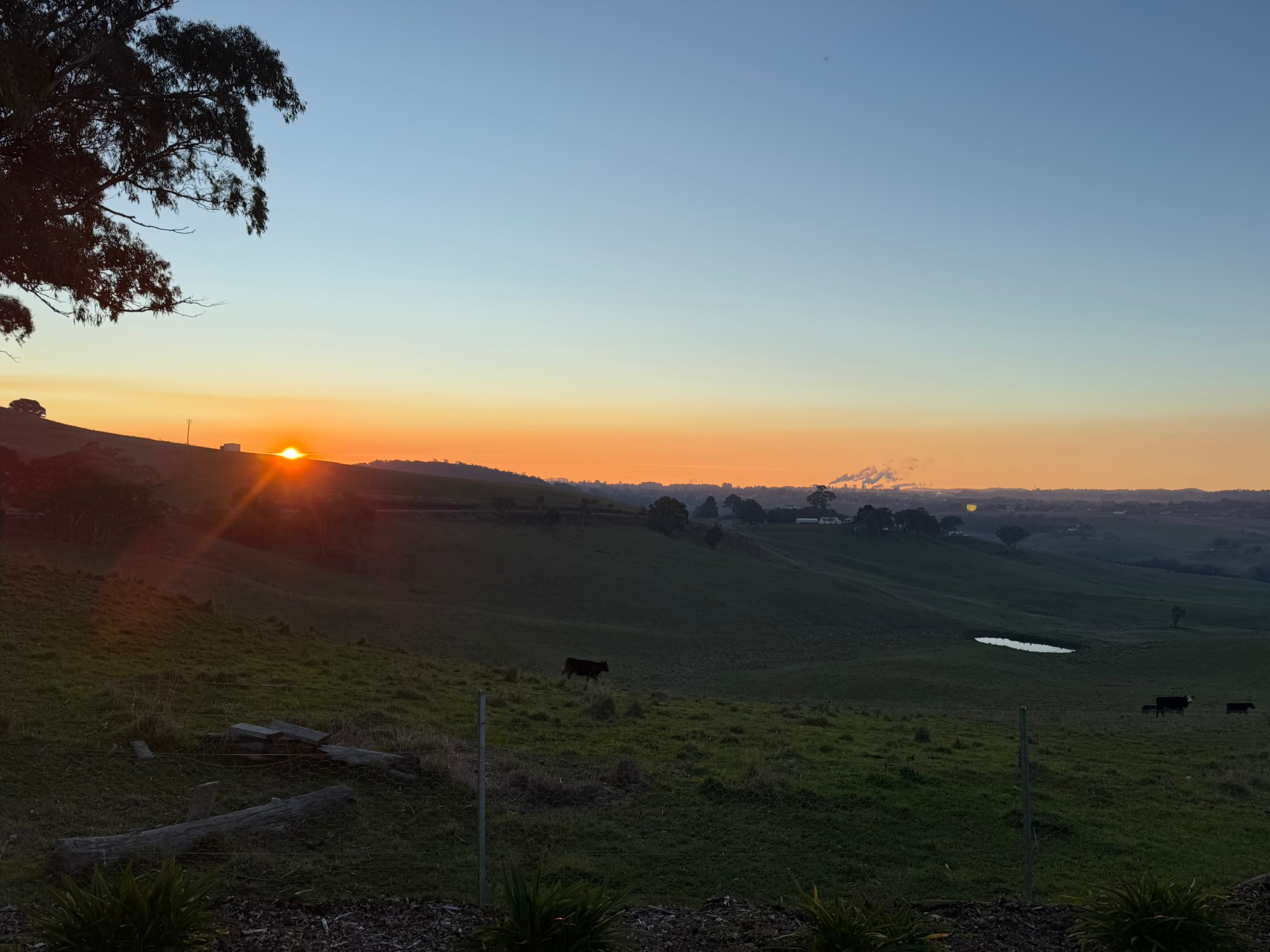 The view from the gateway of Foley's Farm