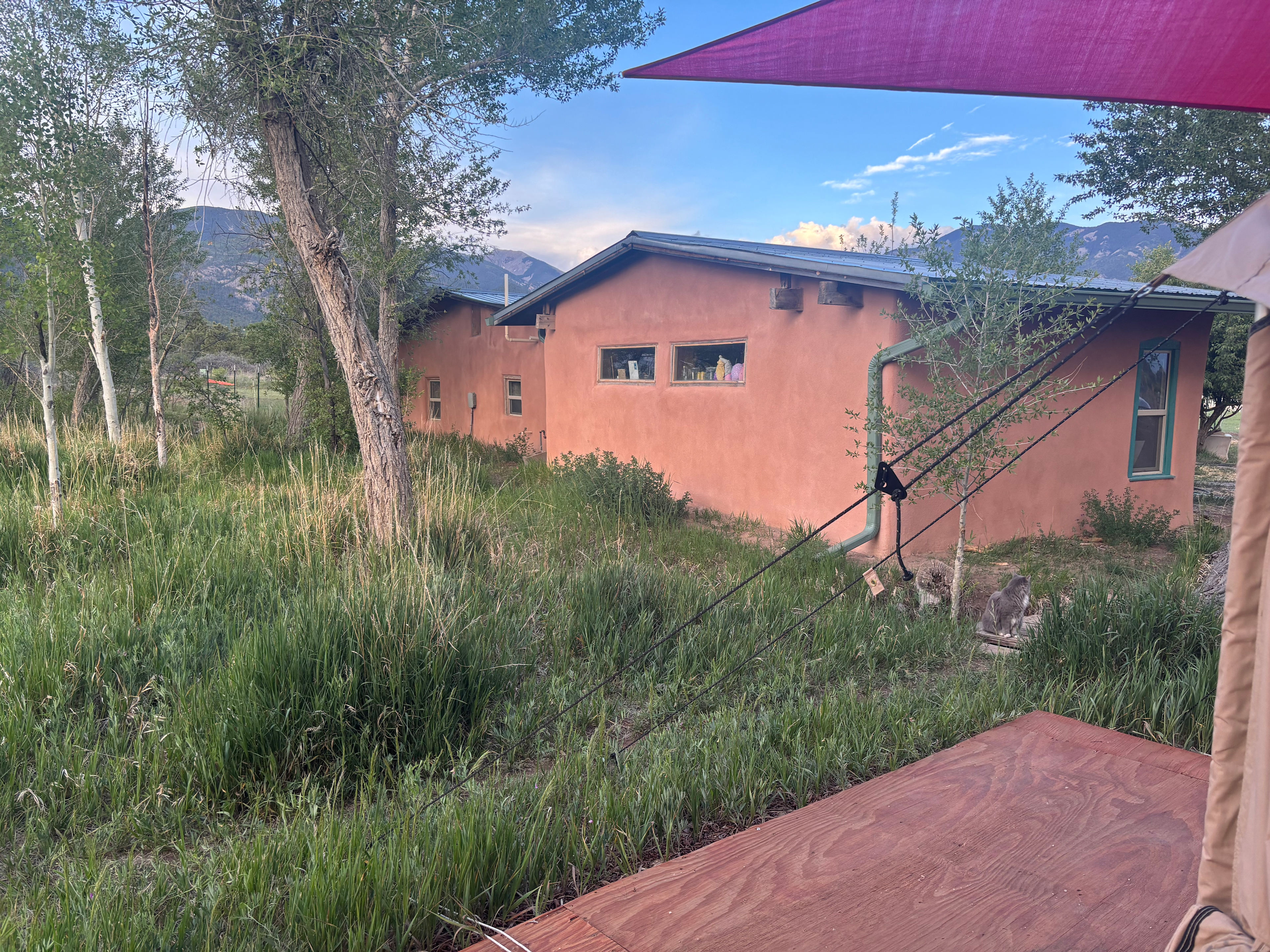 The back of our house is close to the tent