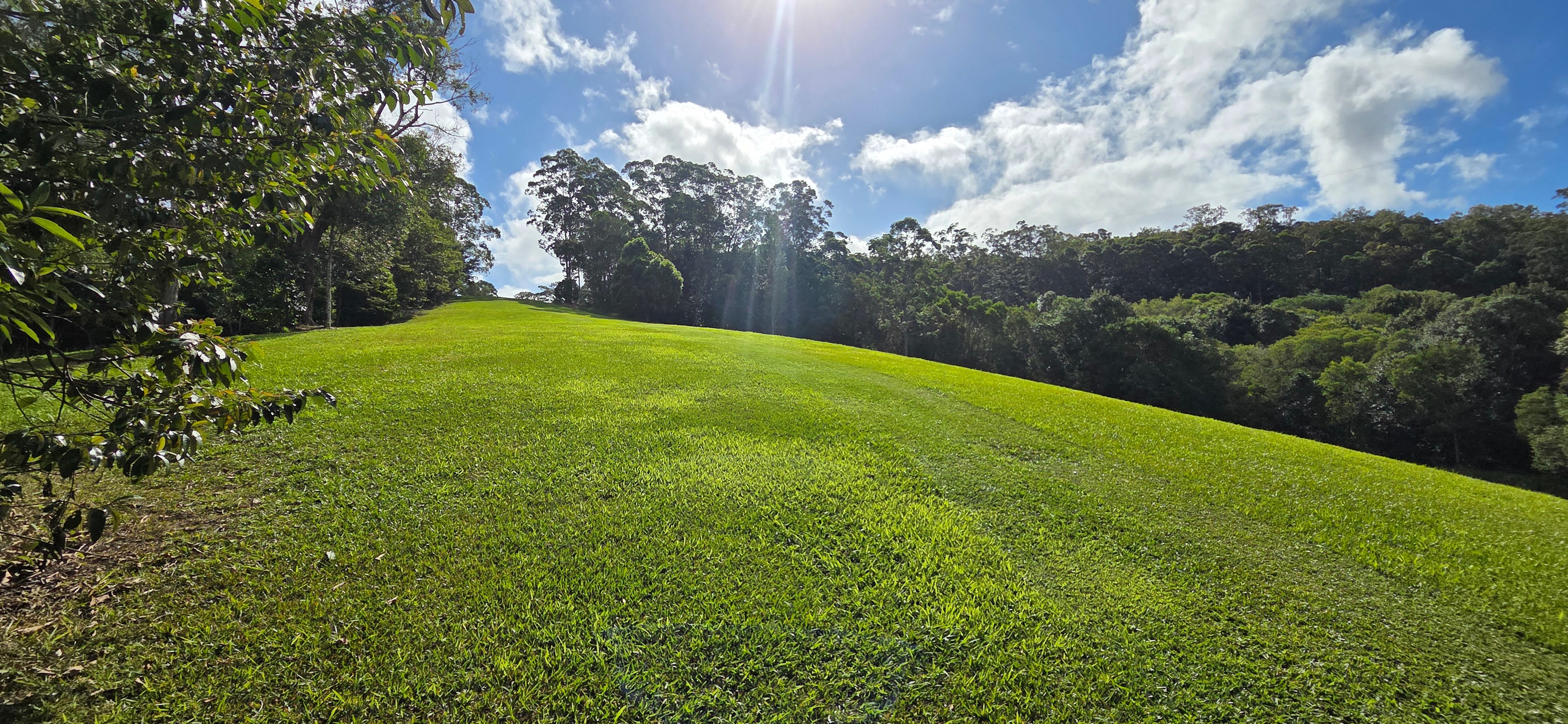 Hills on Lawnville
