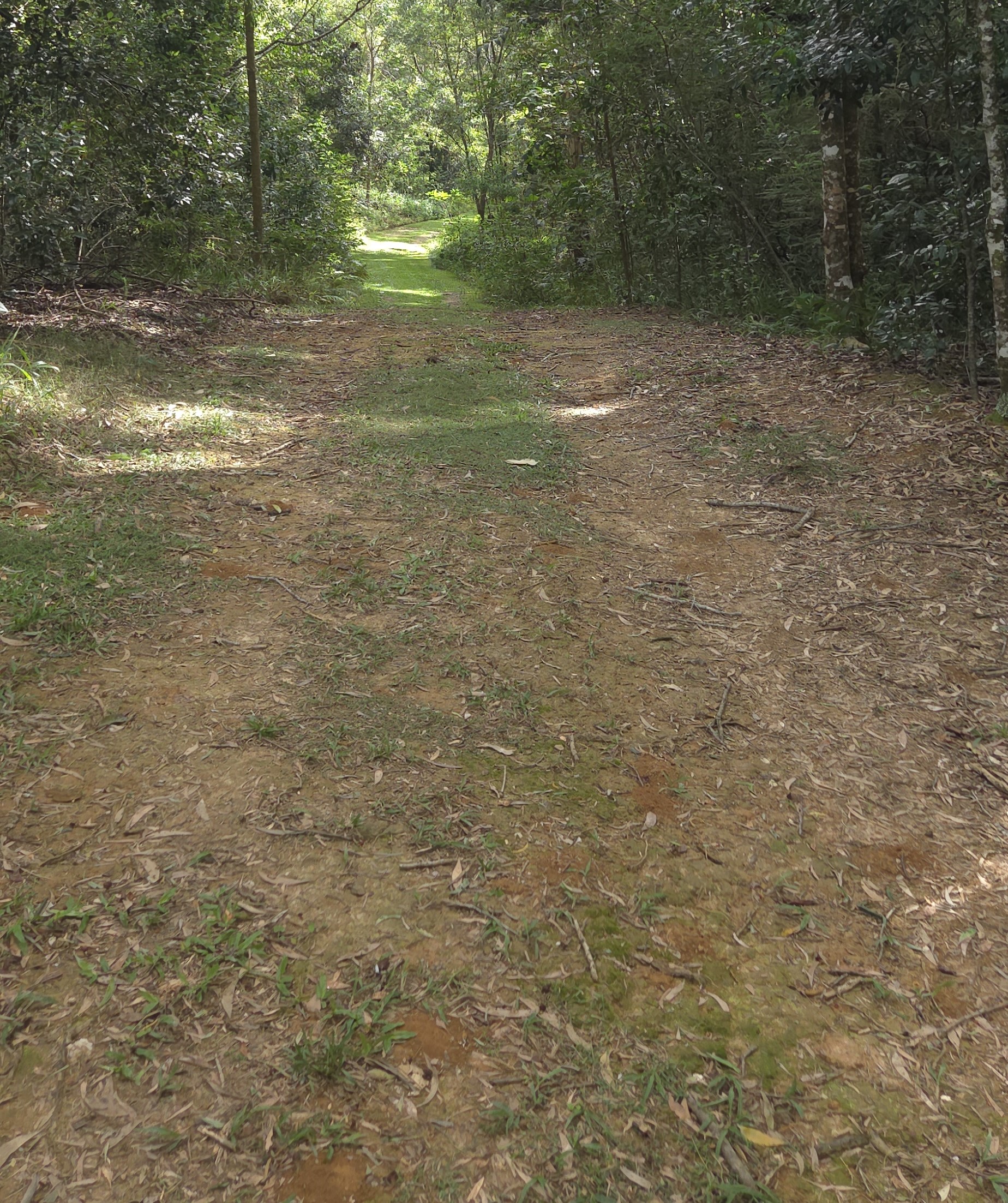 Hills on Lawnville