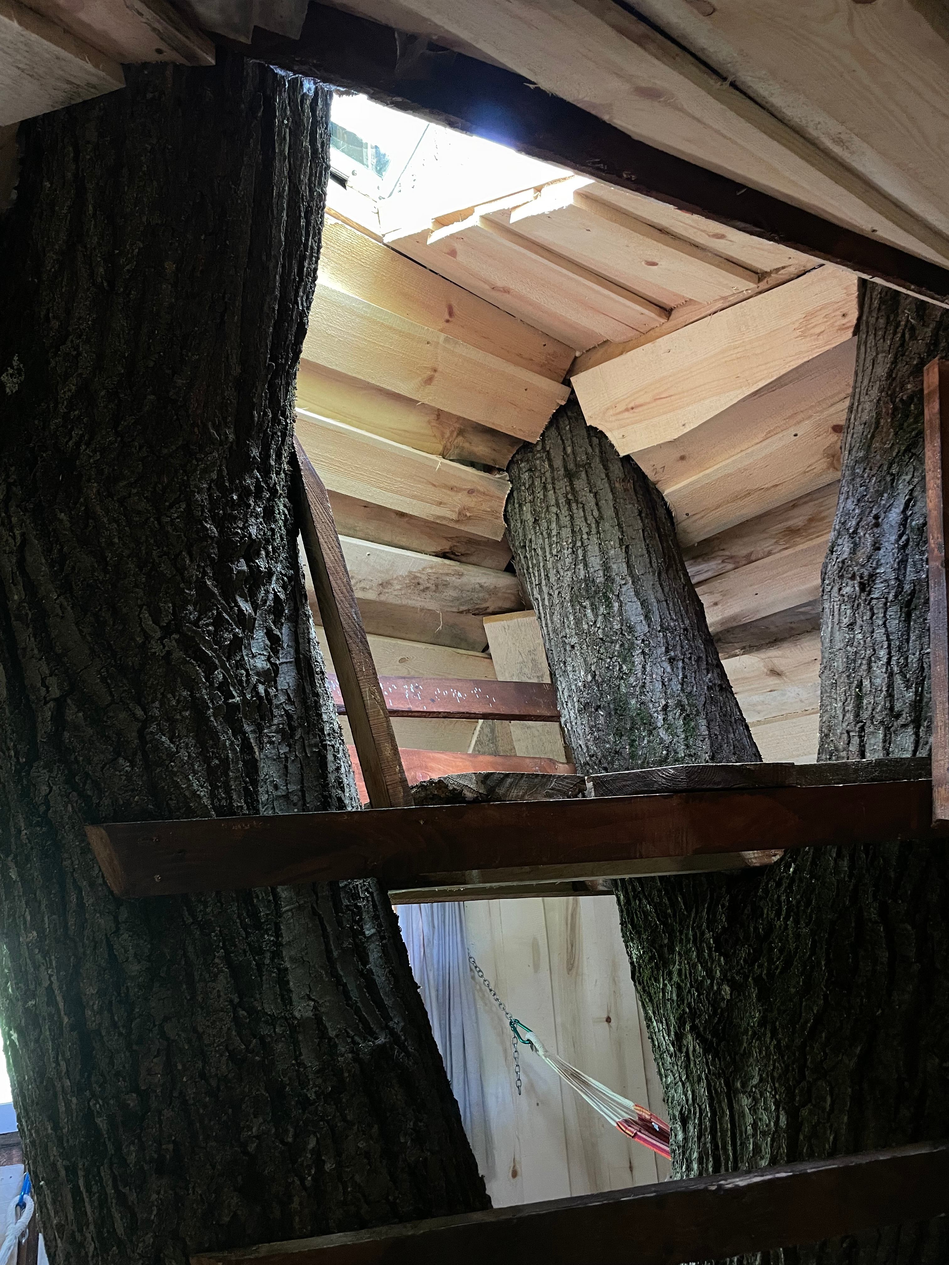 perfect reading nook in the treehouse 