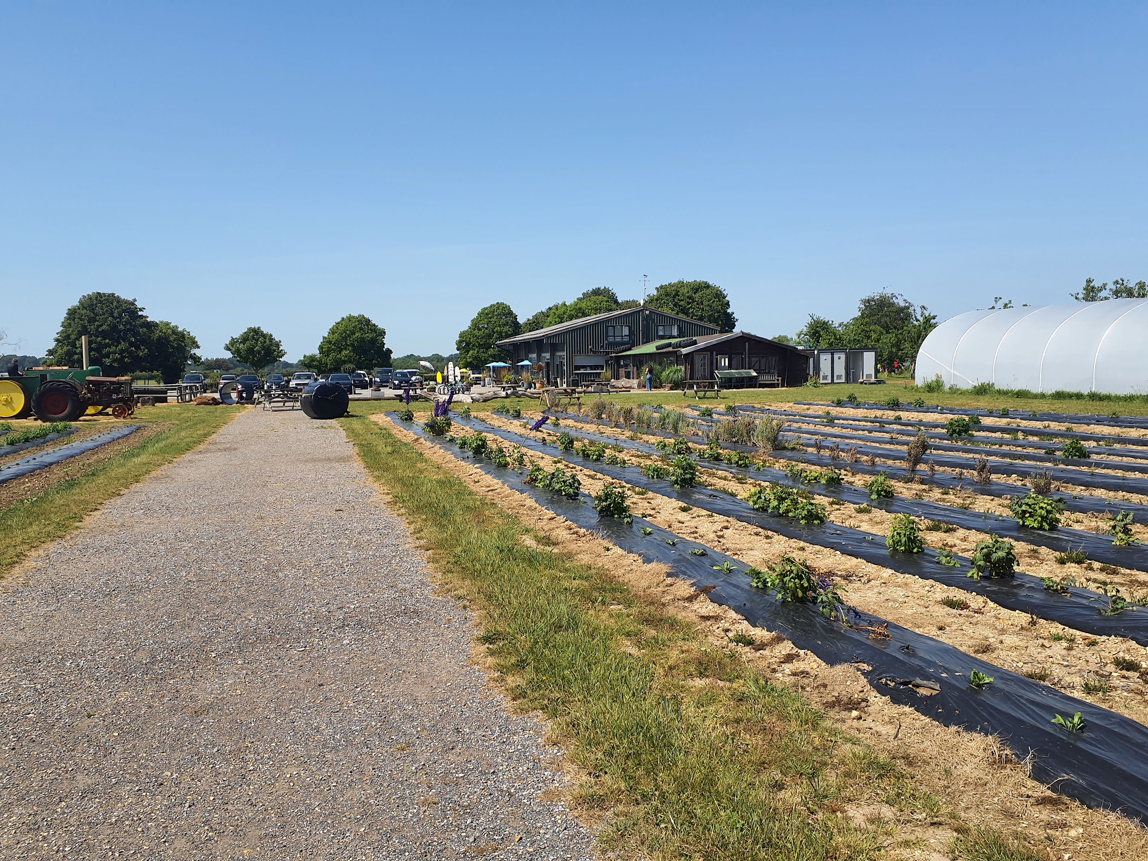 Sopley Farm Camping