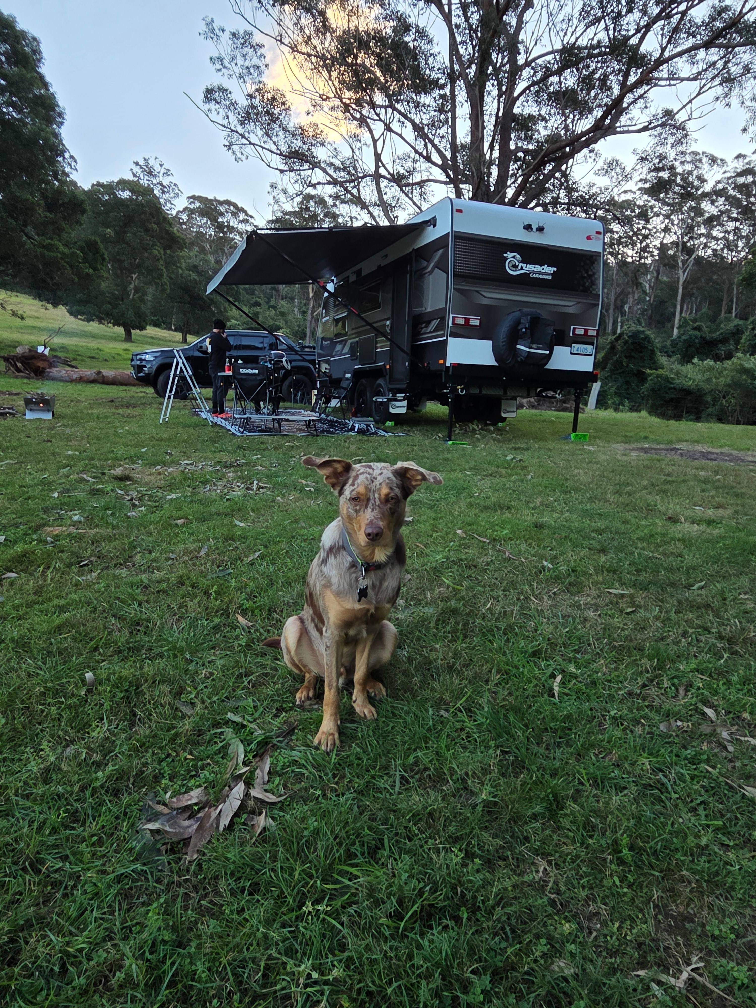 Mav approved. 