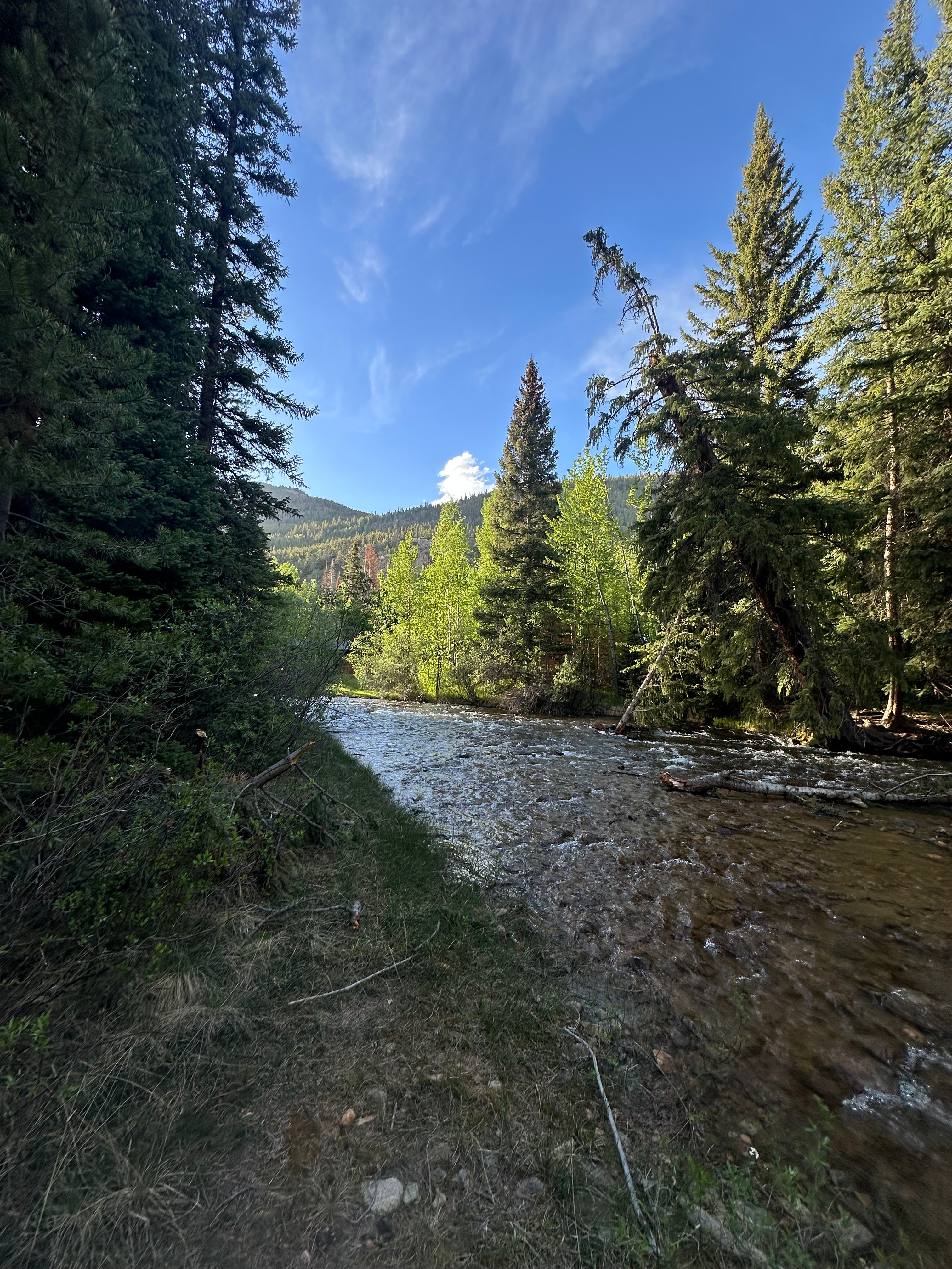 Creekside Camping