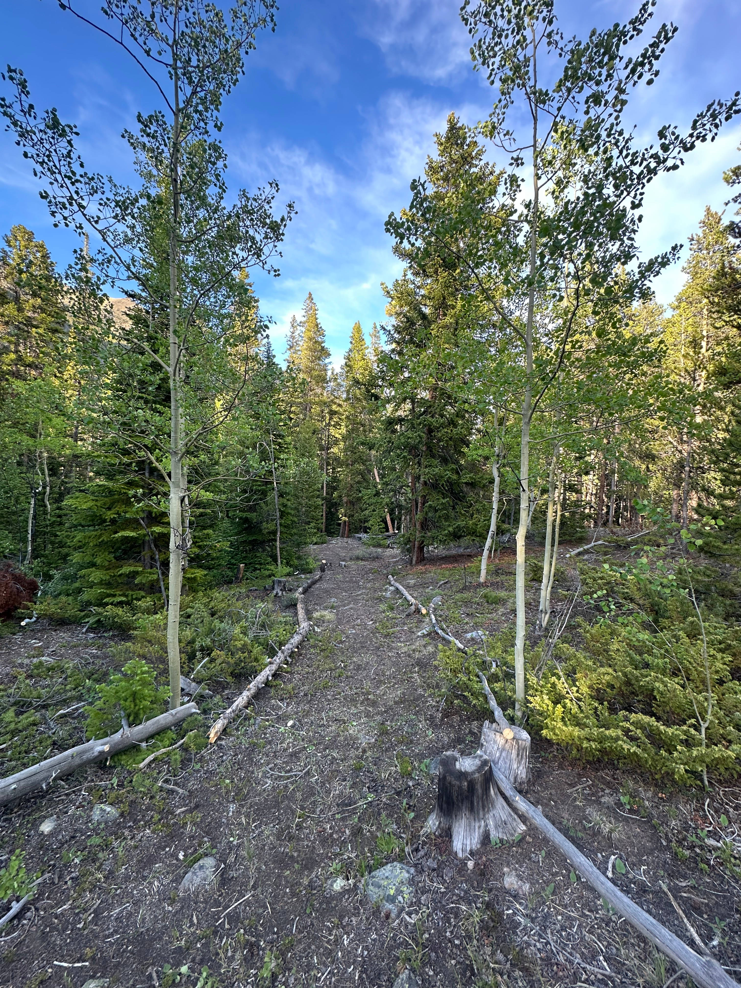 Creekside camping