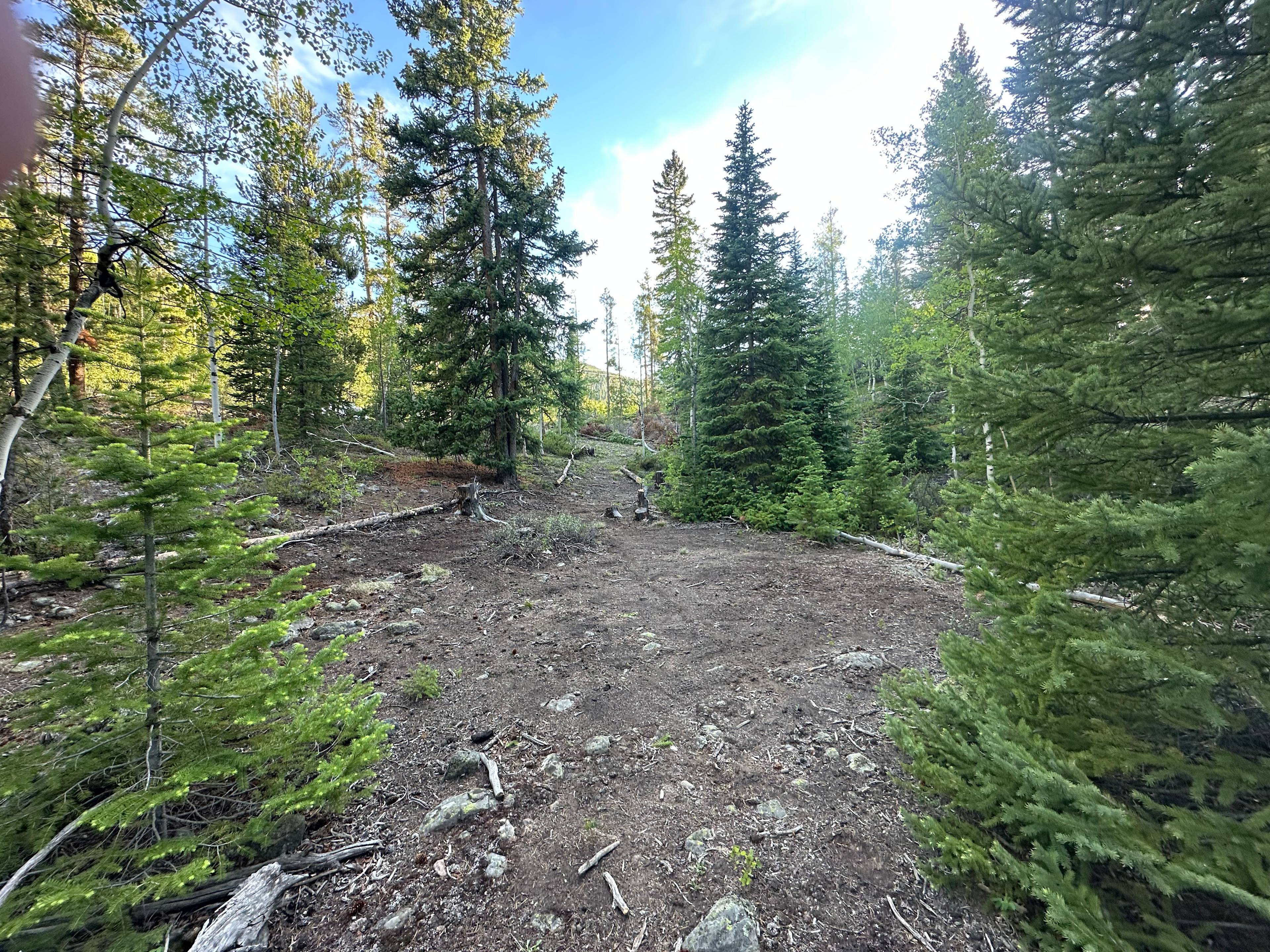 Creekside camping