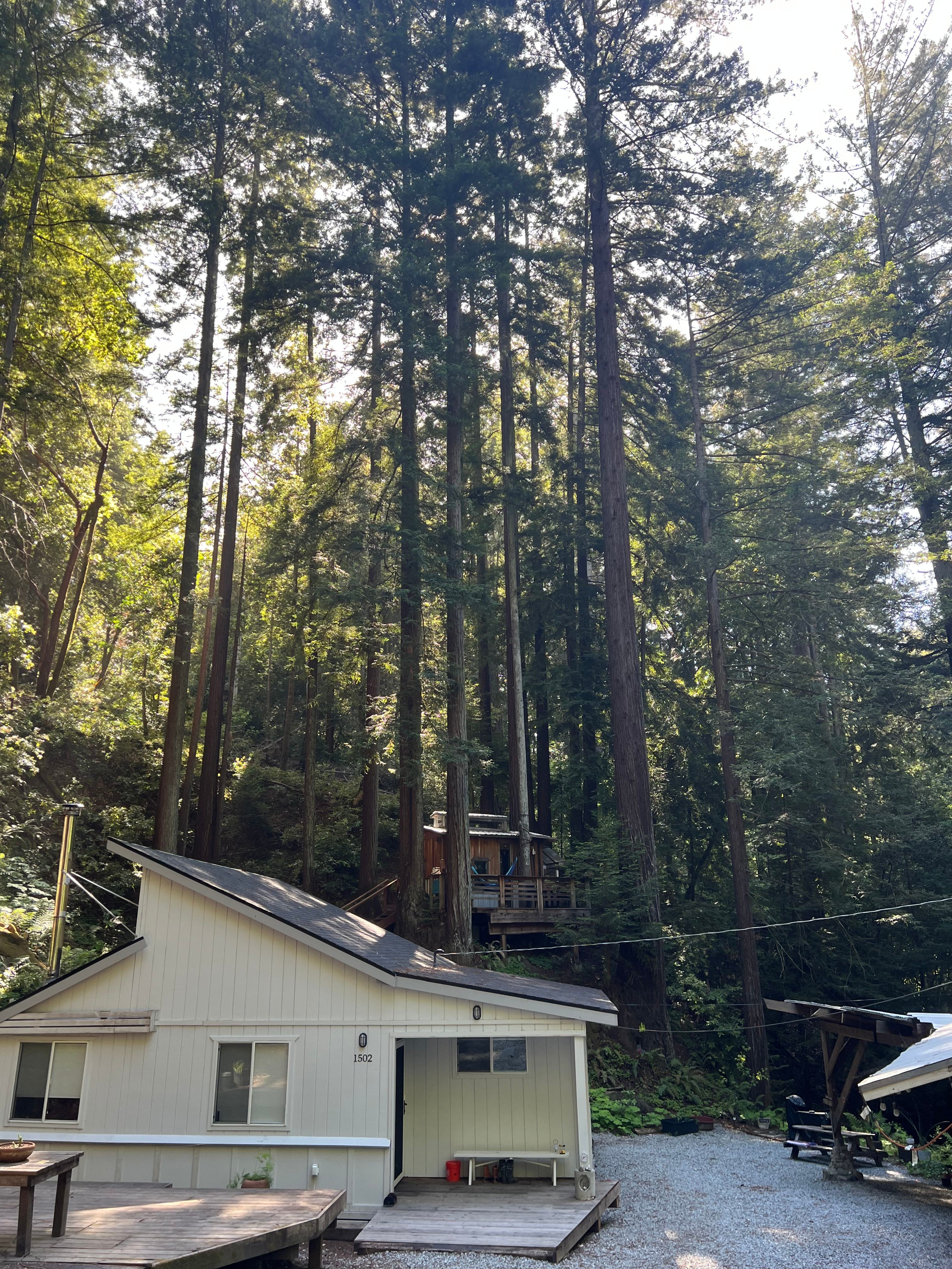 Leafy Lanes Tree House (“Fort”)