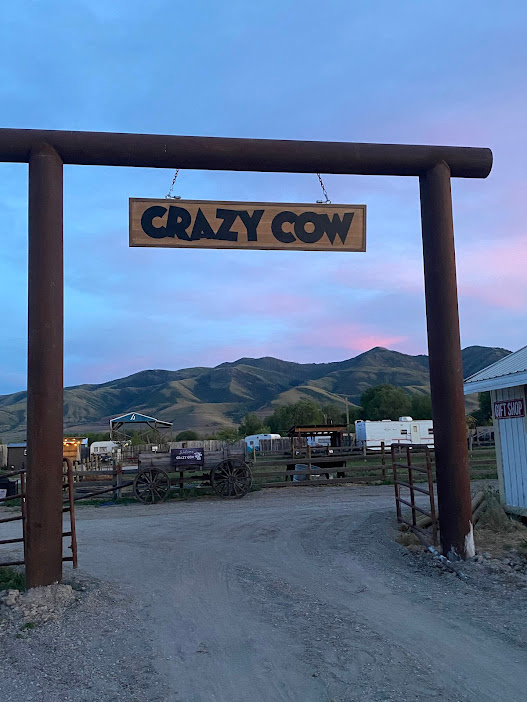Crazy Cow Farm Adventure