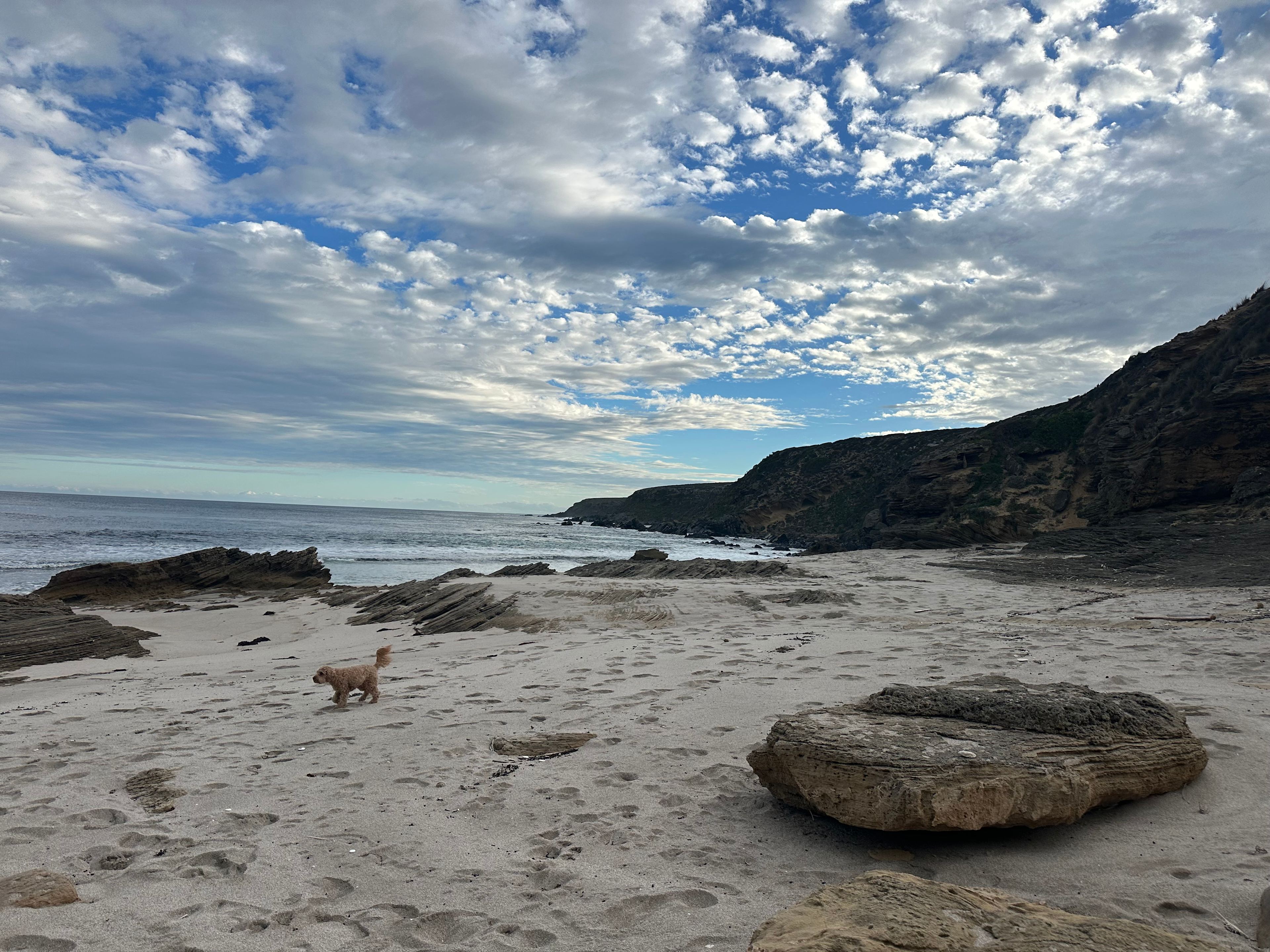 Salt Rock Escape