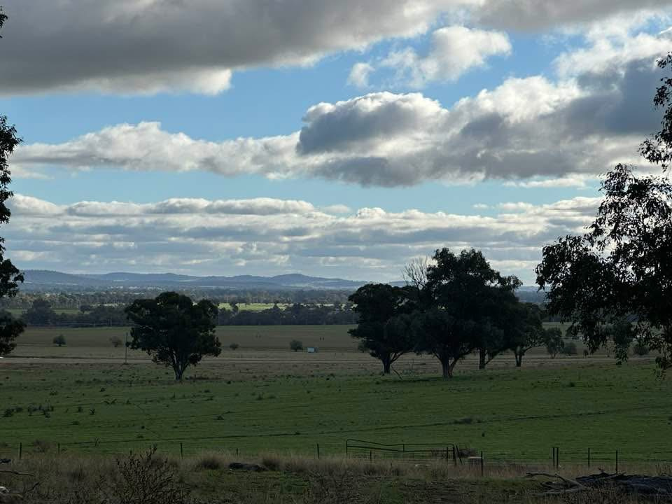 Windowrie Winery