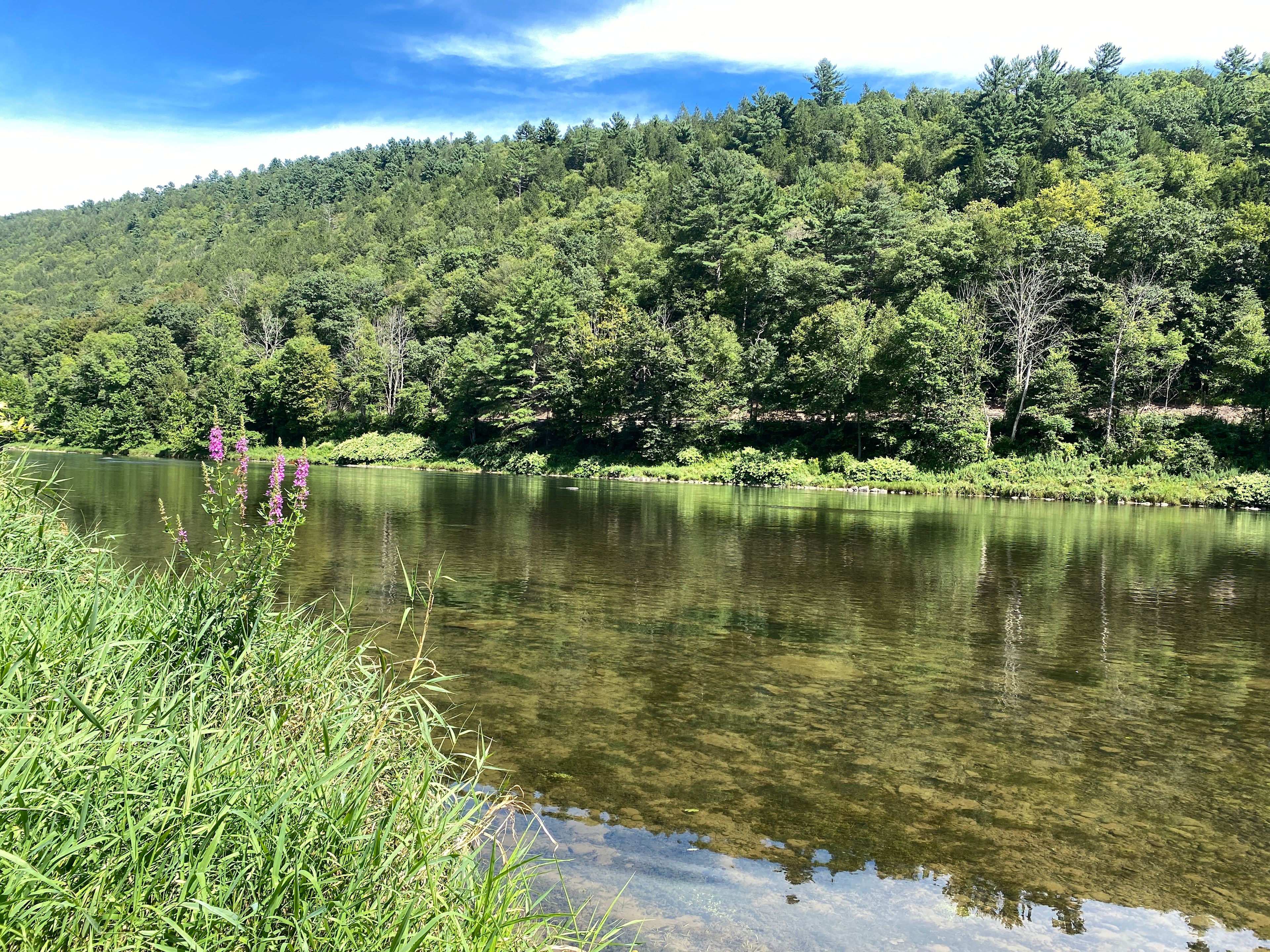 The crystal clear waters of the upper Delaware on a warm summer day. Enjoyable year-round from the spring hatch for epic fly fishing to fall foliage.