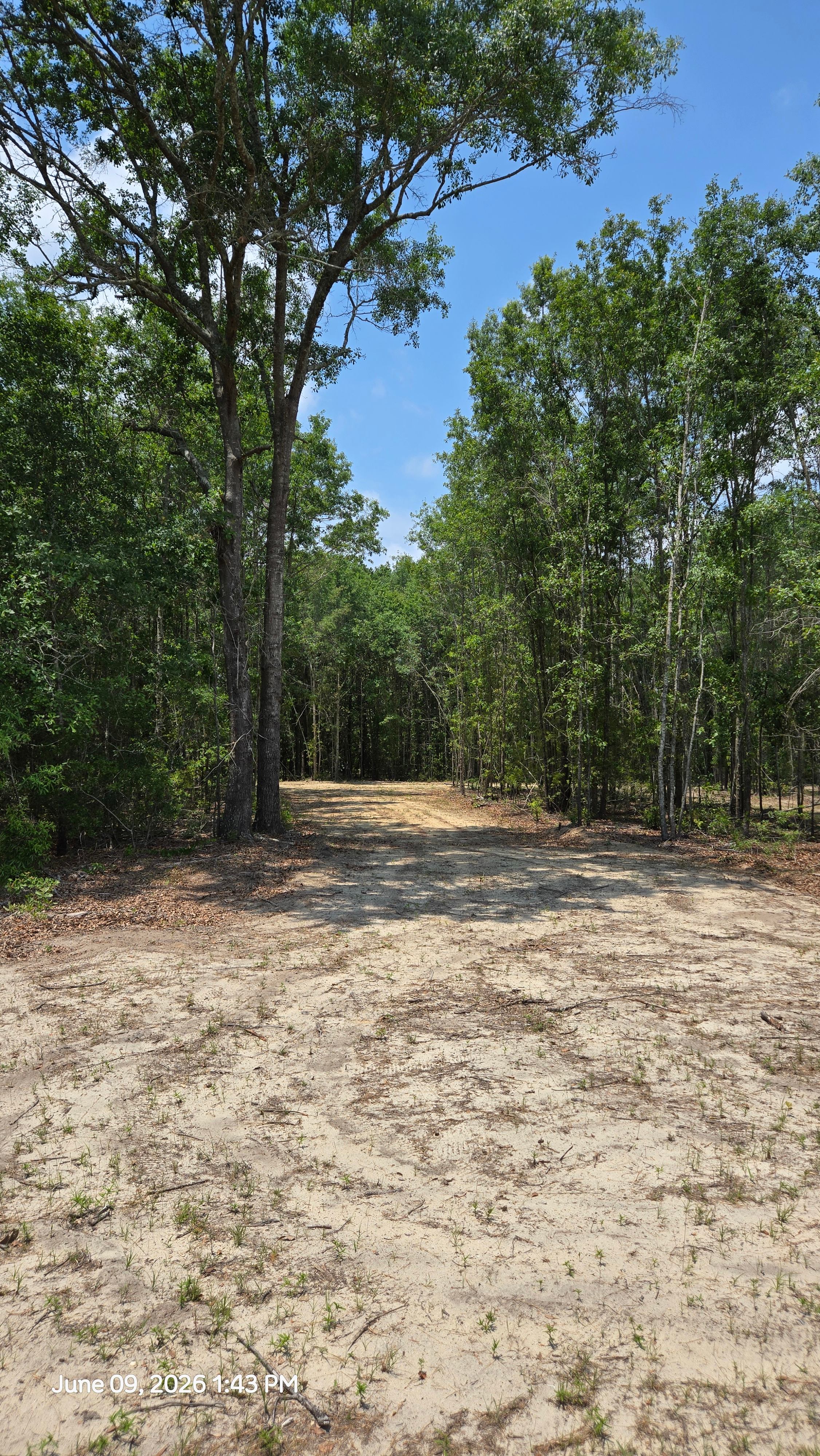 The Boondocks, 1 Mile From i95