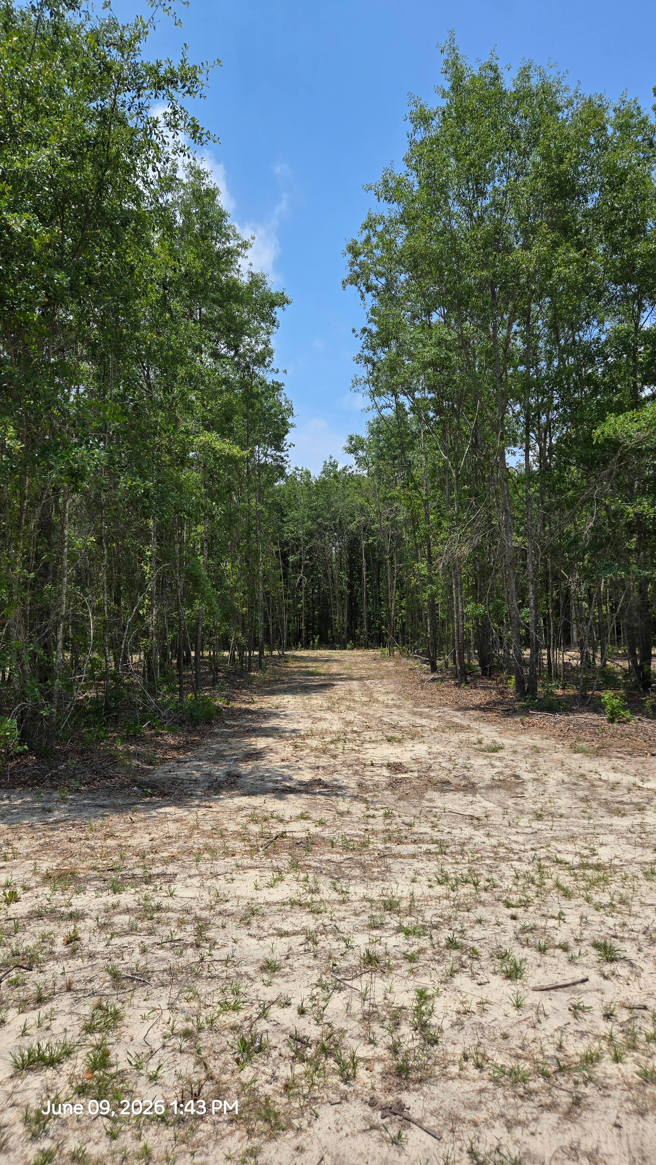The Boondocks, 1 Mile From i95
