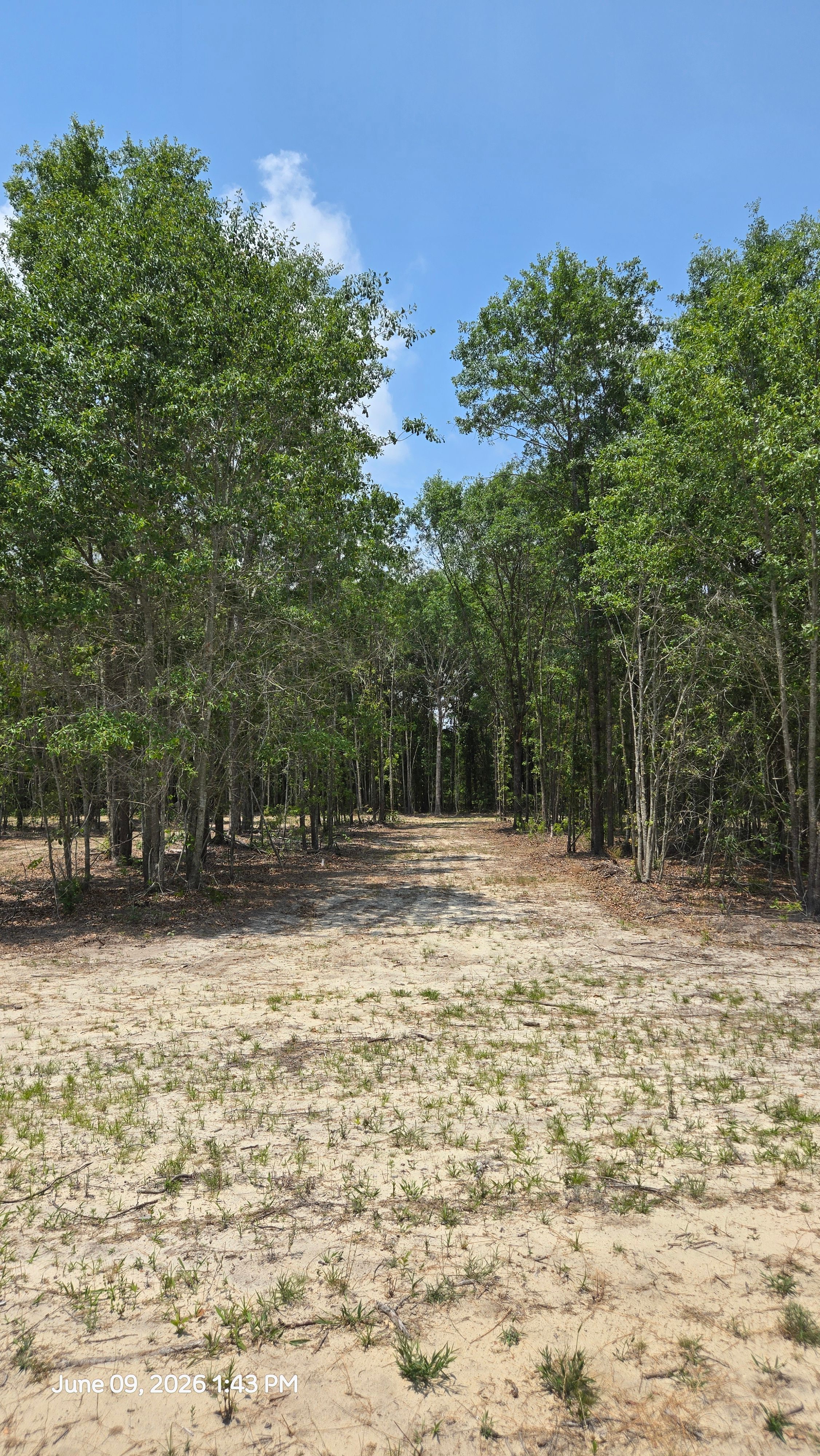 The Boondocks, 1 Mile From i95