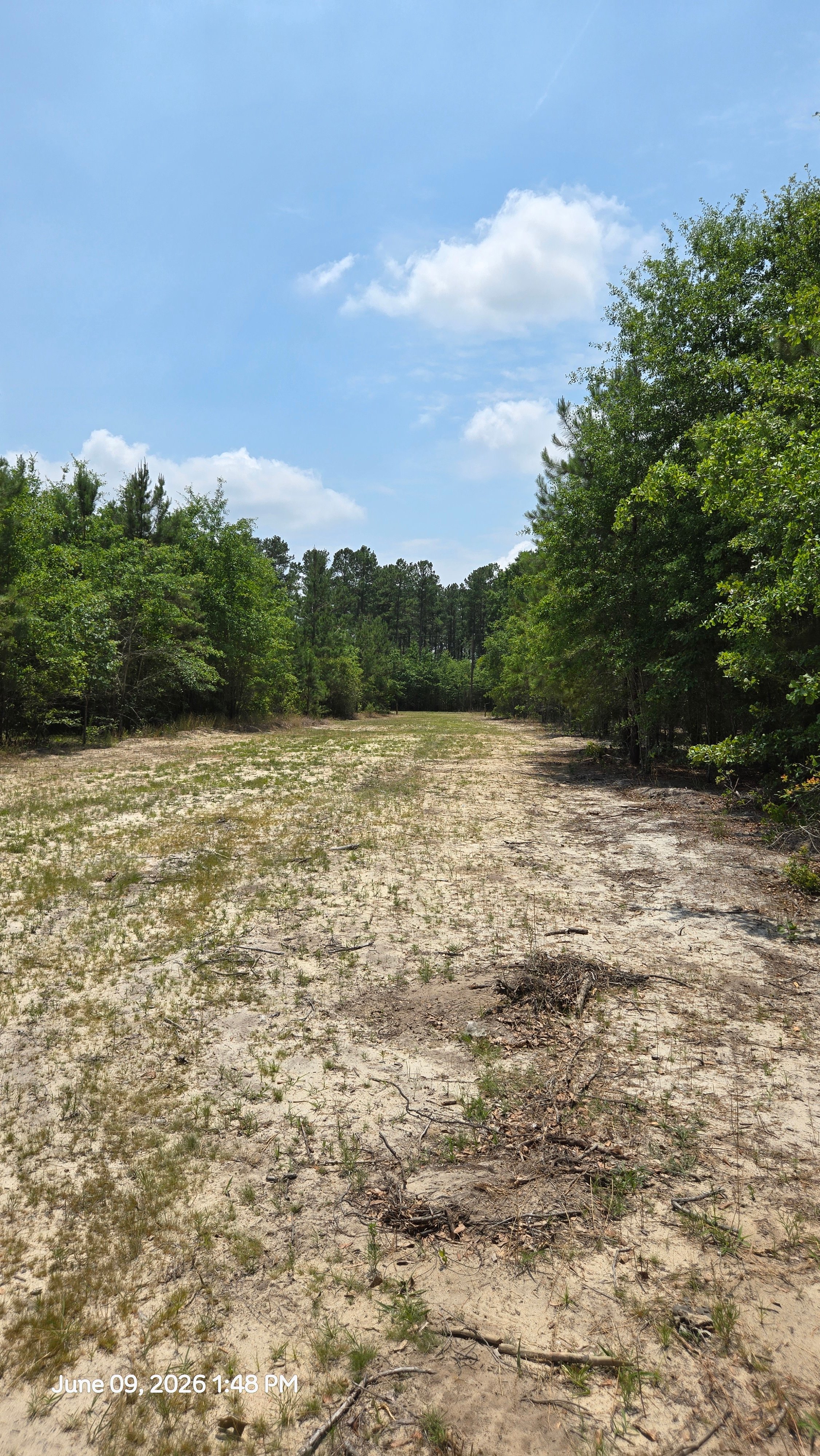 The Boondocks, 1 Mile From i95