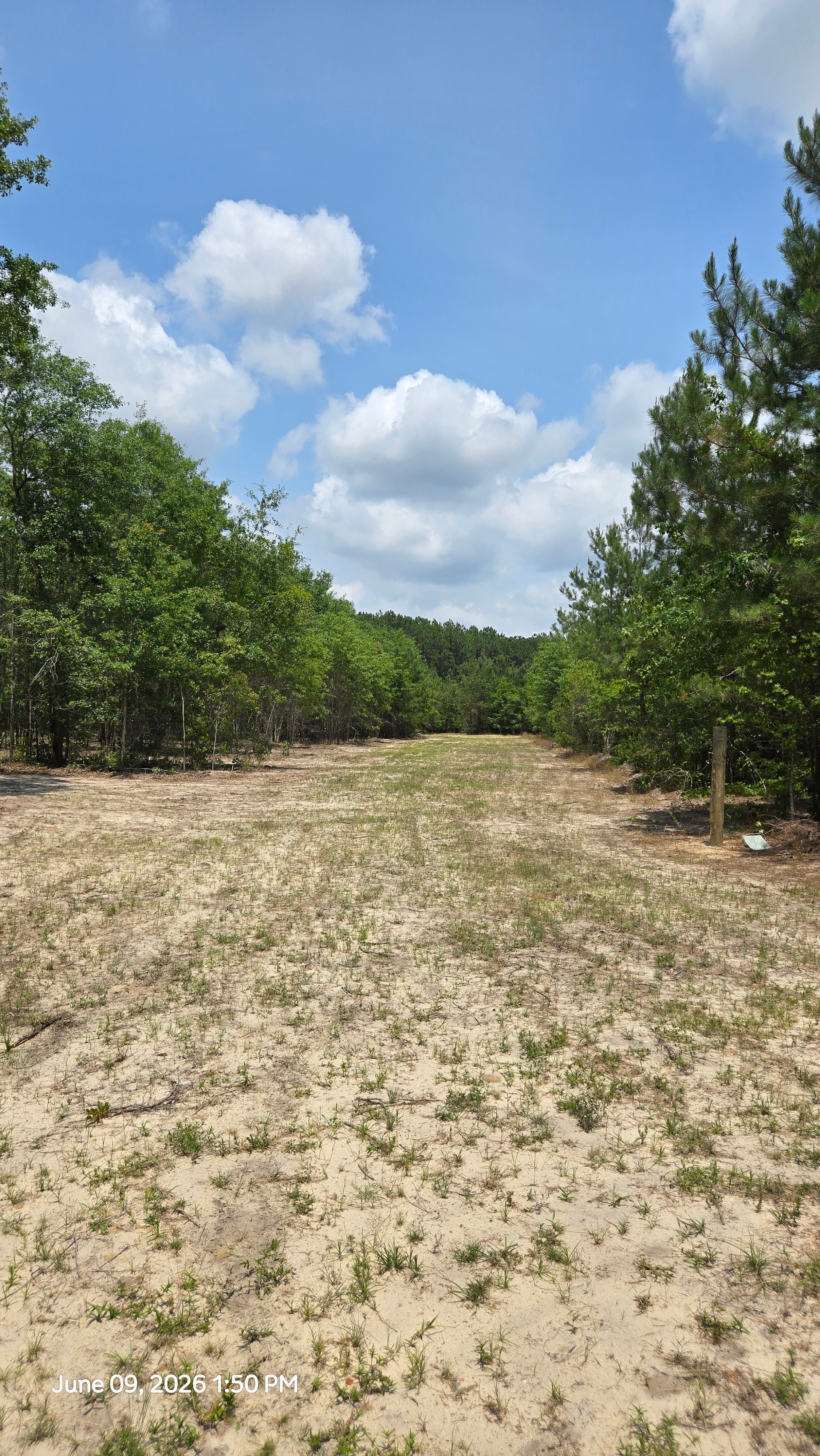 The Boondocks, 1 Mile From i95