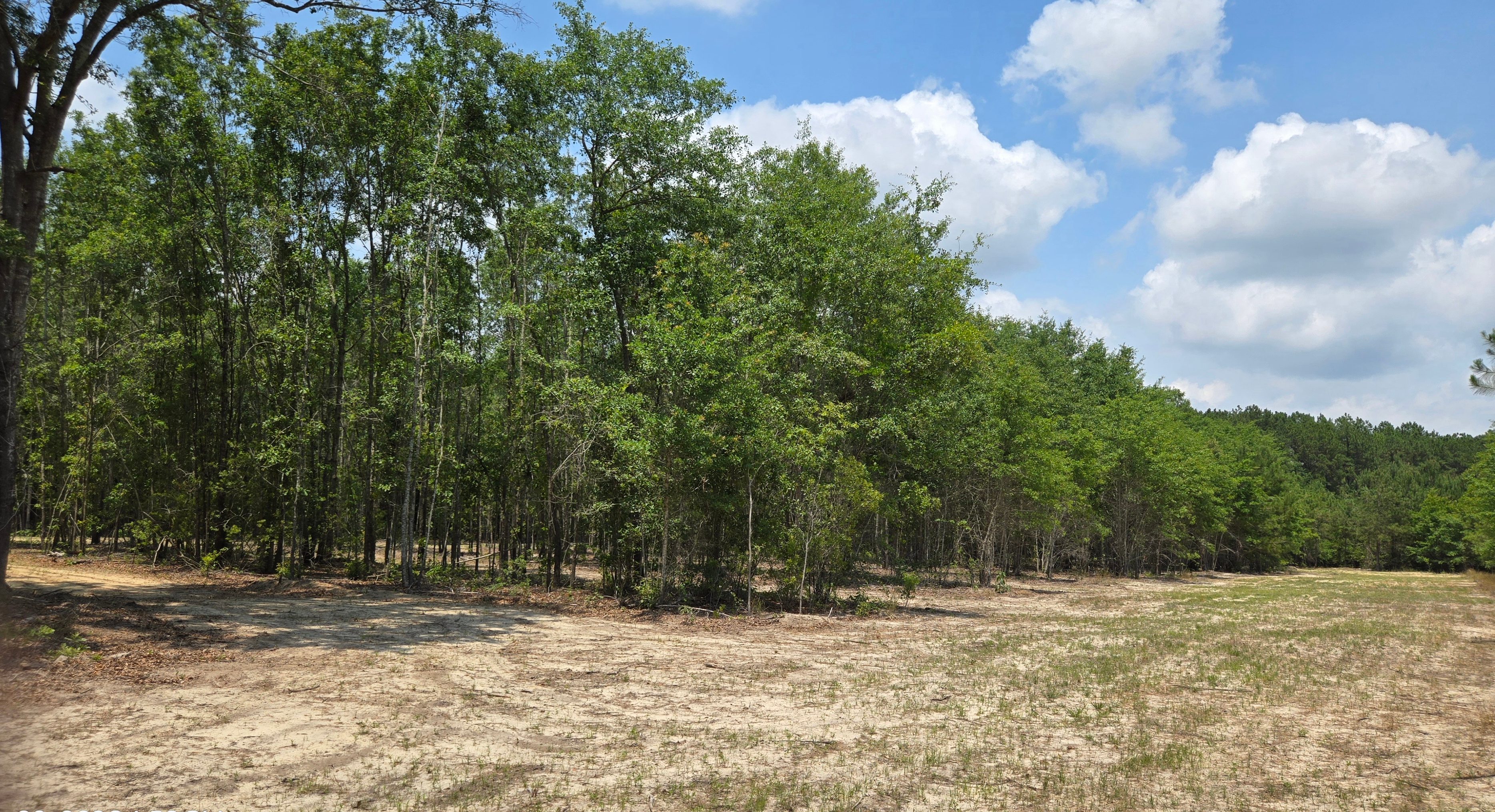 The Boondocks, 1 Mile From i95