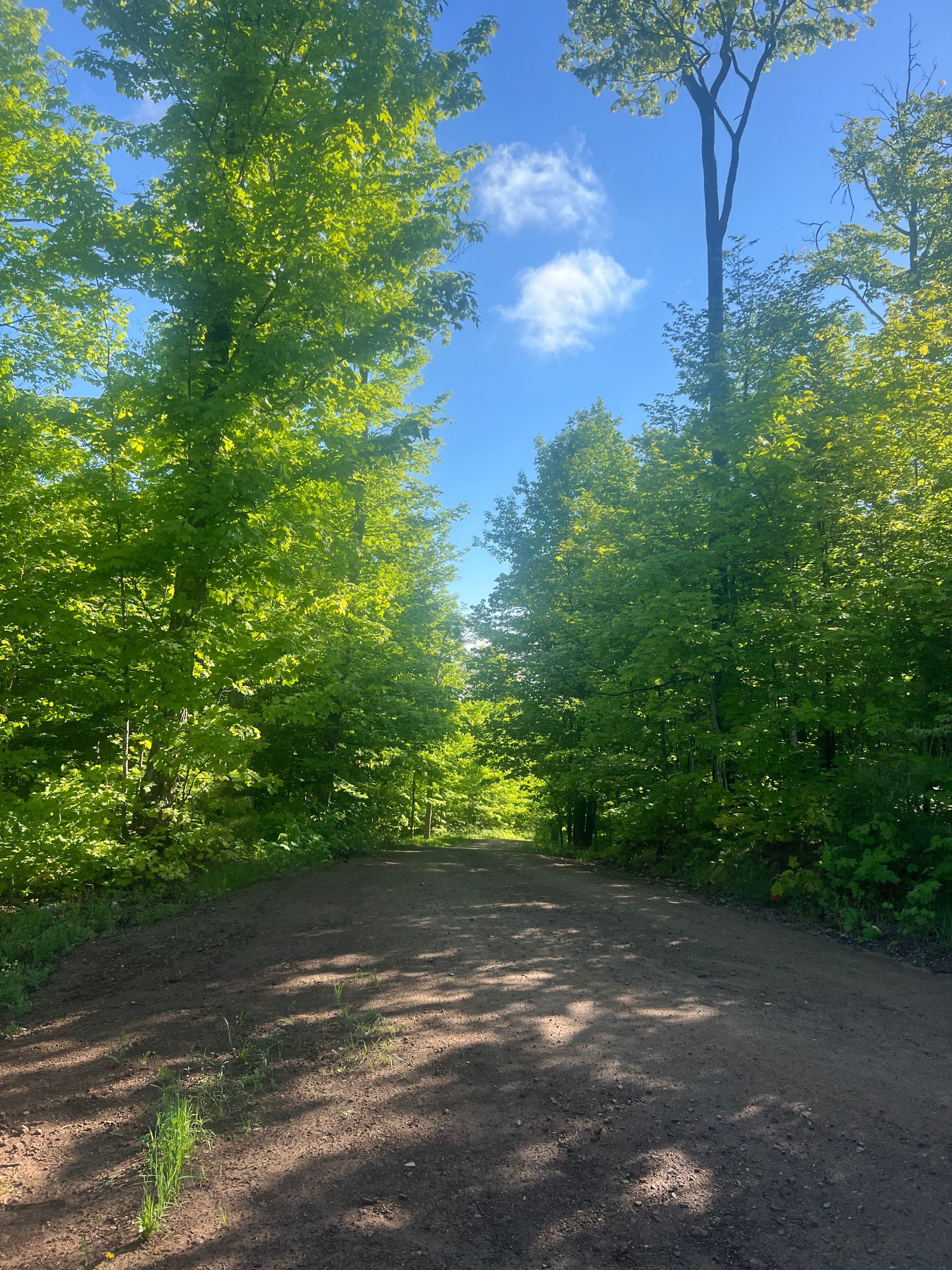 Moonwood Ridge