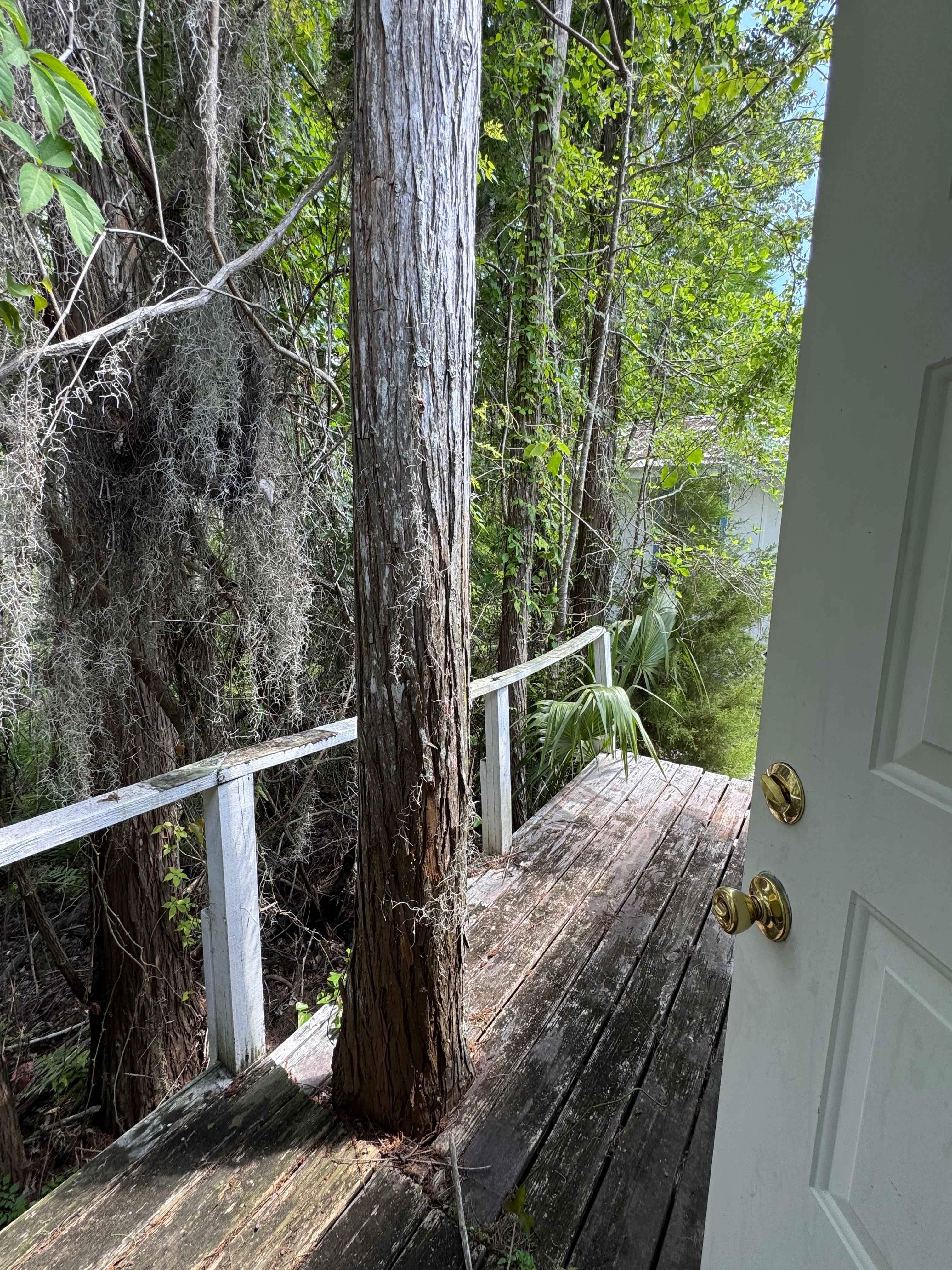 Suwannee Heritage Rentals & Camping