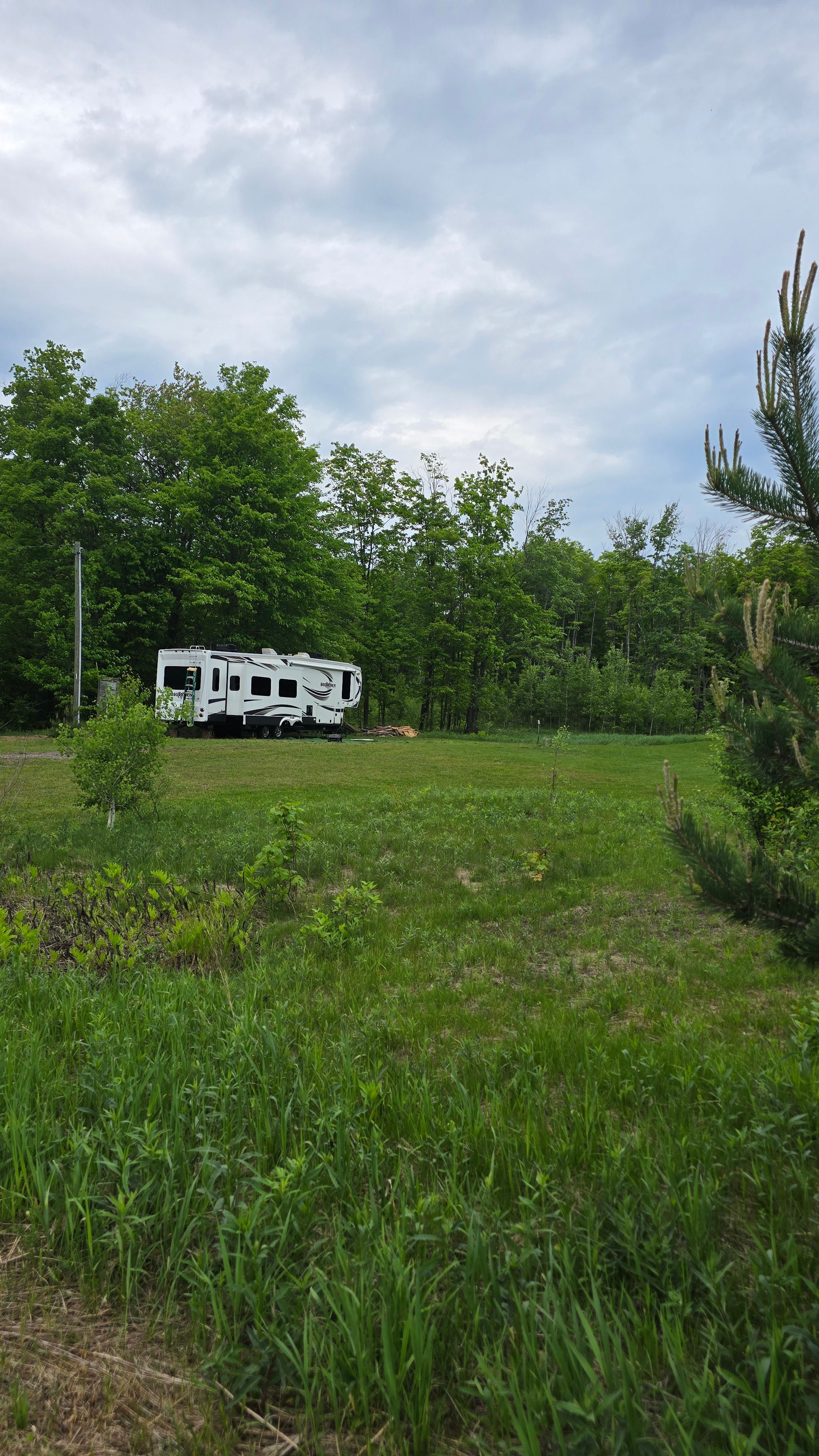 Apricity Acres