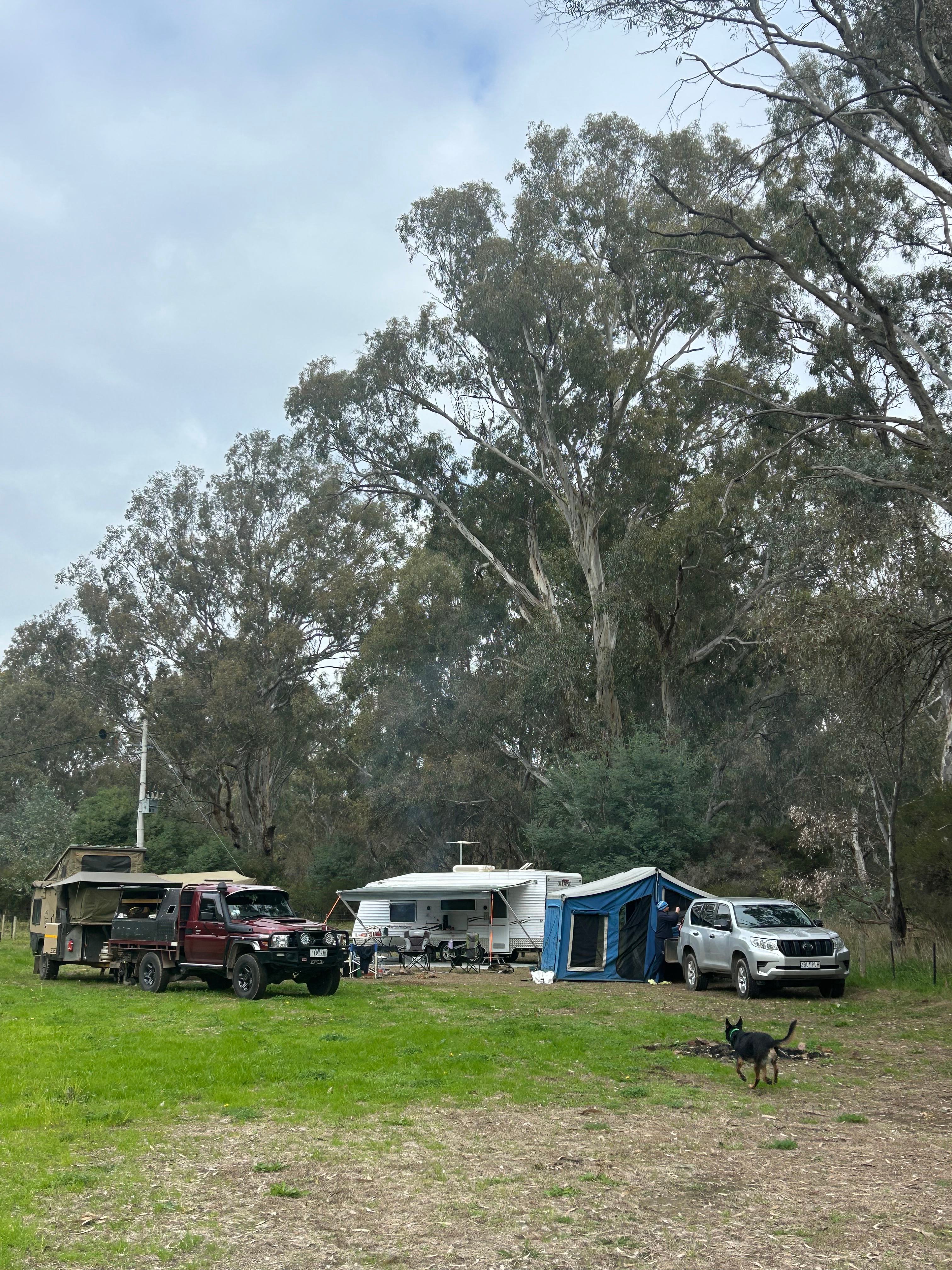 Jackaleah Farm Stay - Camping