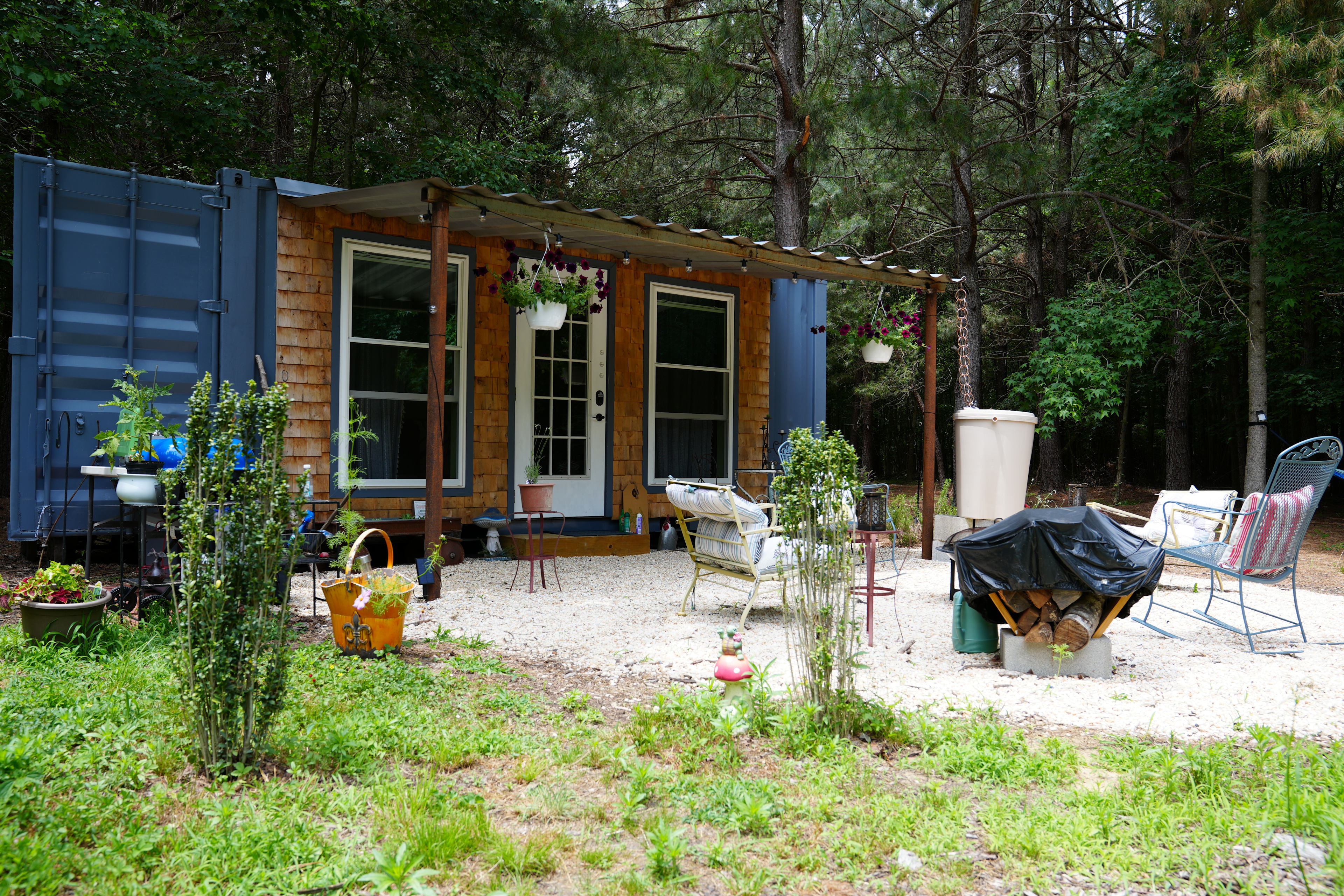 The Unplugged Forest
