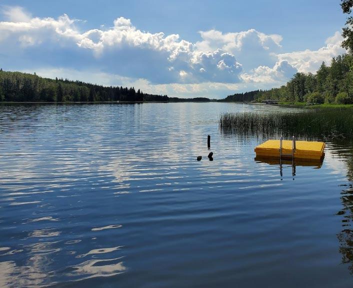 Halfmoon Lake, Forest and Homestead