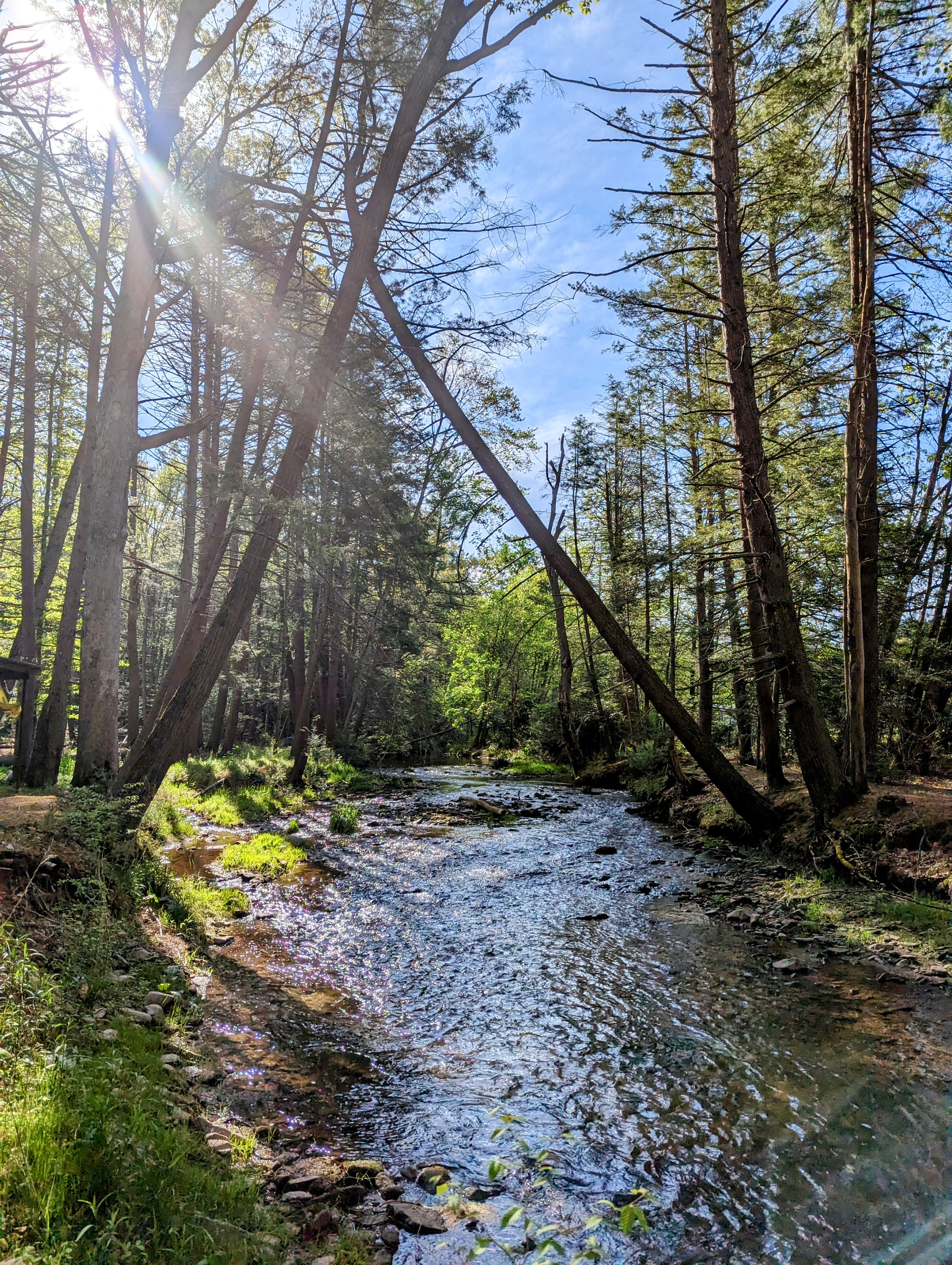 Calm Creek