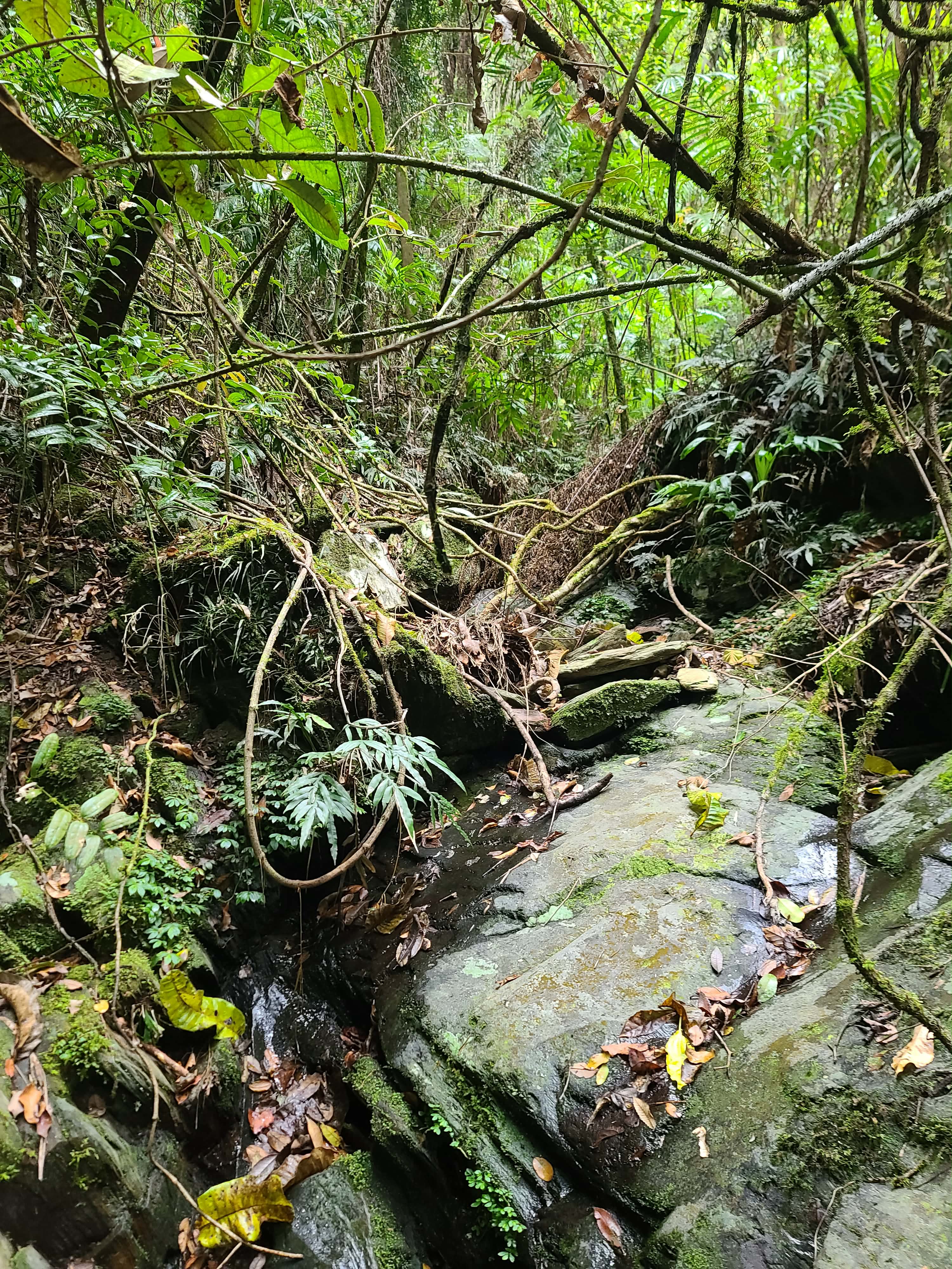 Cooks Creek Retreat