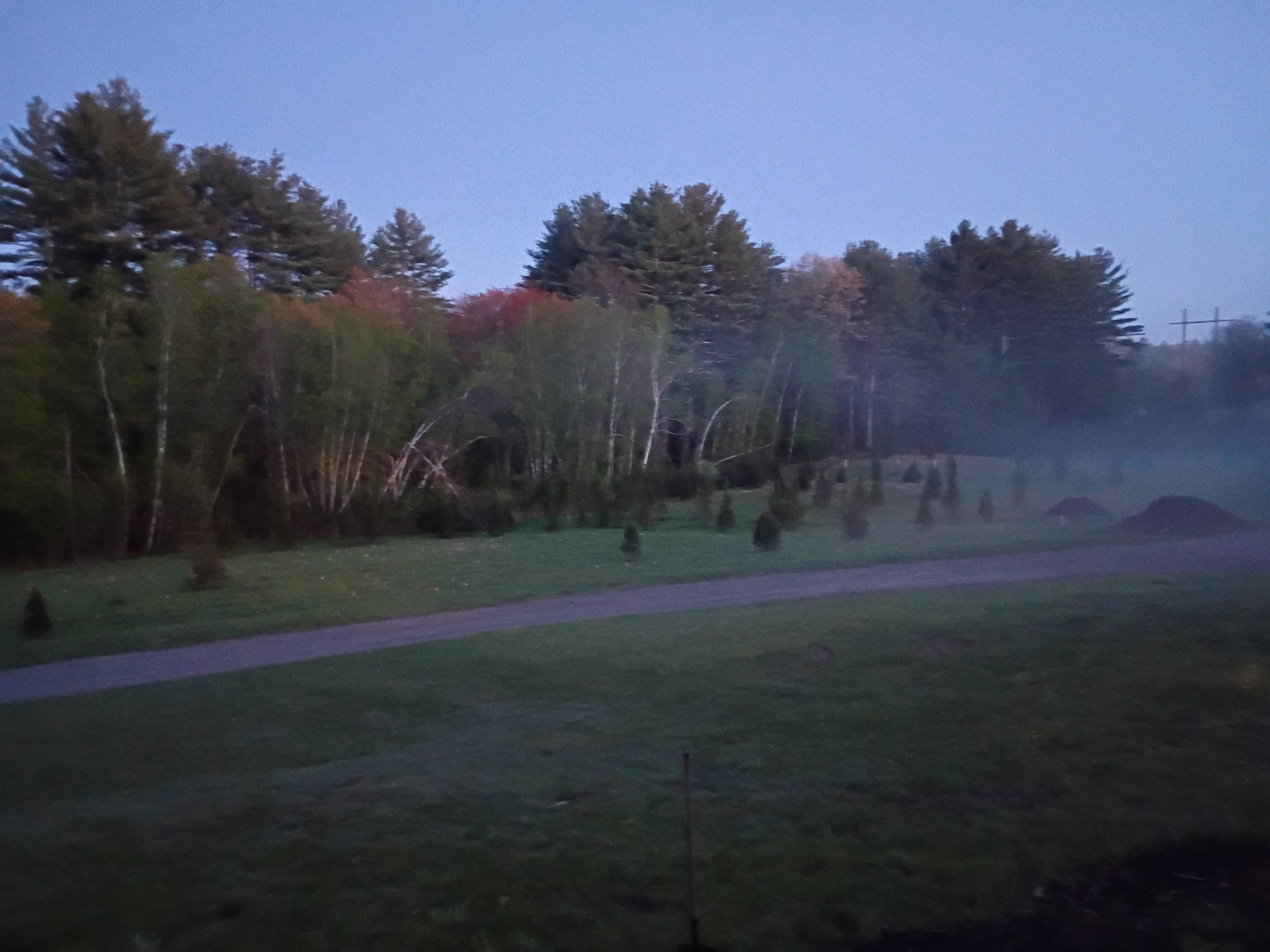 Silveus Christmas Tree Farm