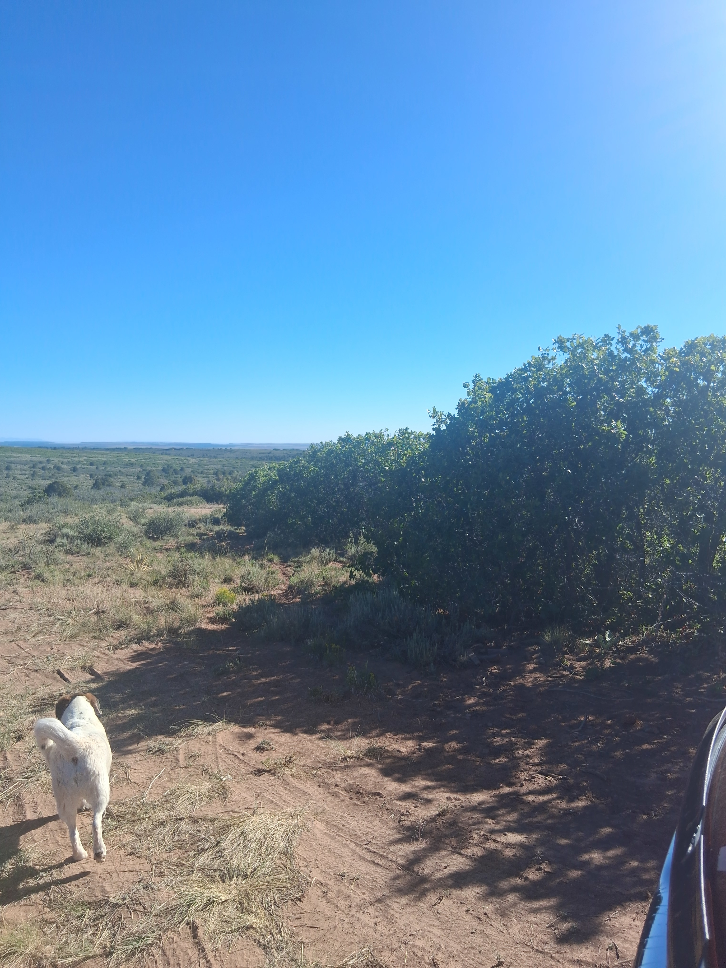 The Restoration Ranch