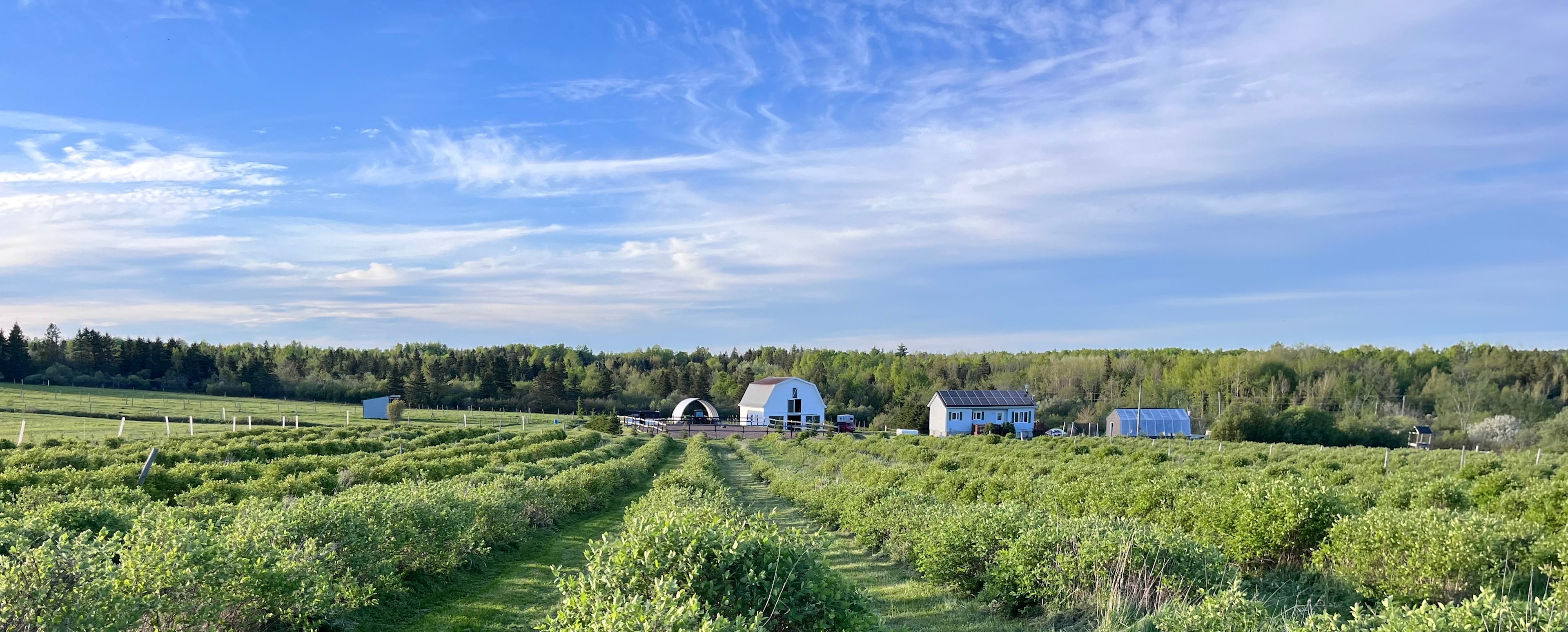 Spruce Lane Farms