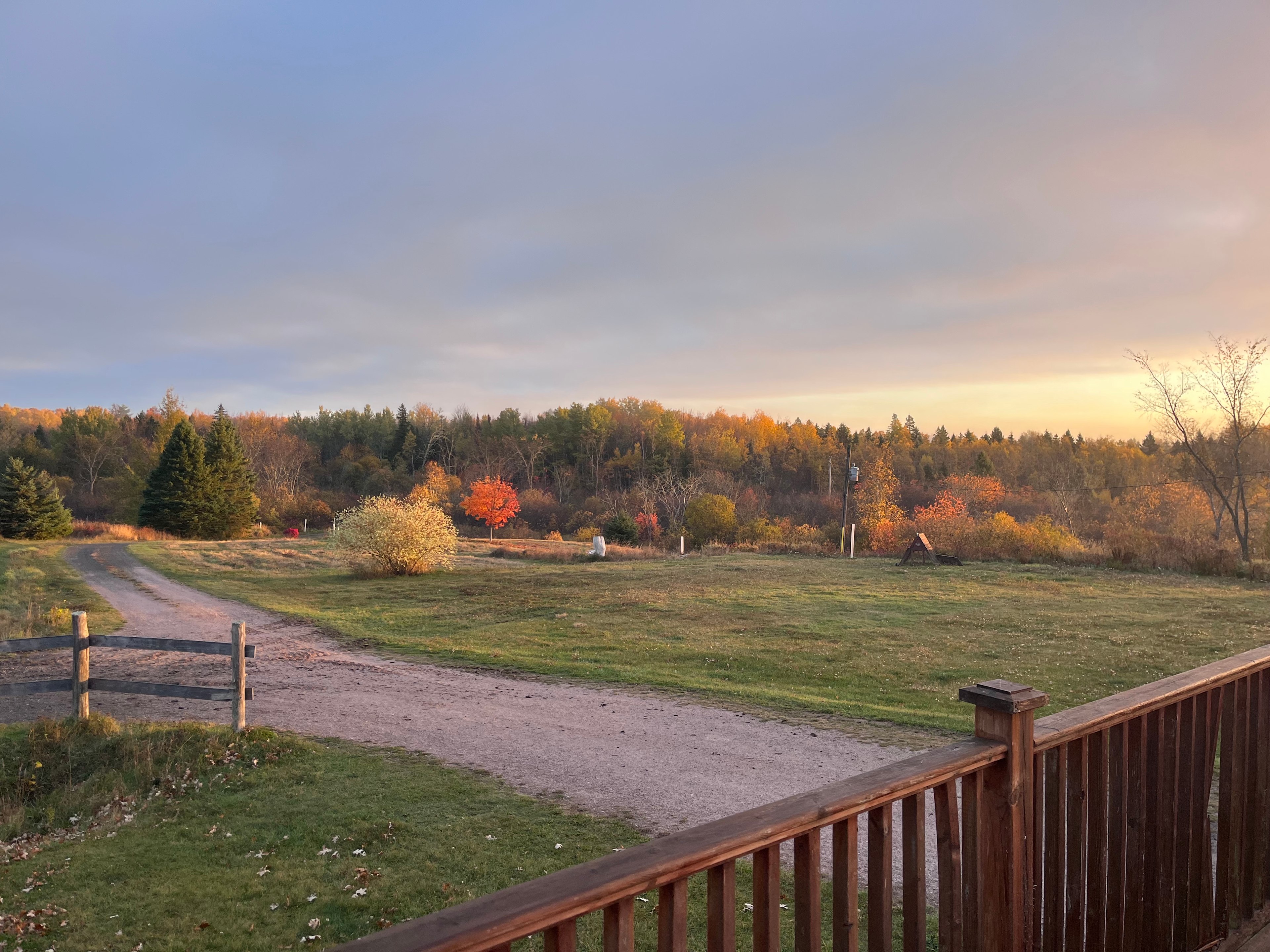 Spruce Lane Farms