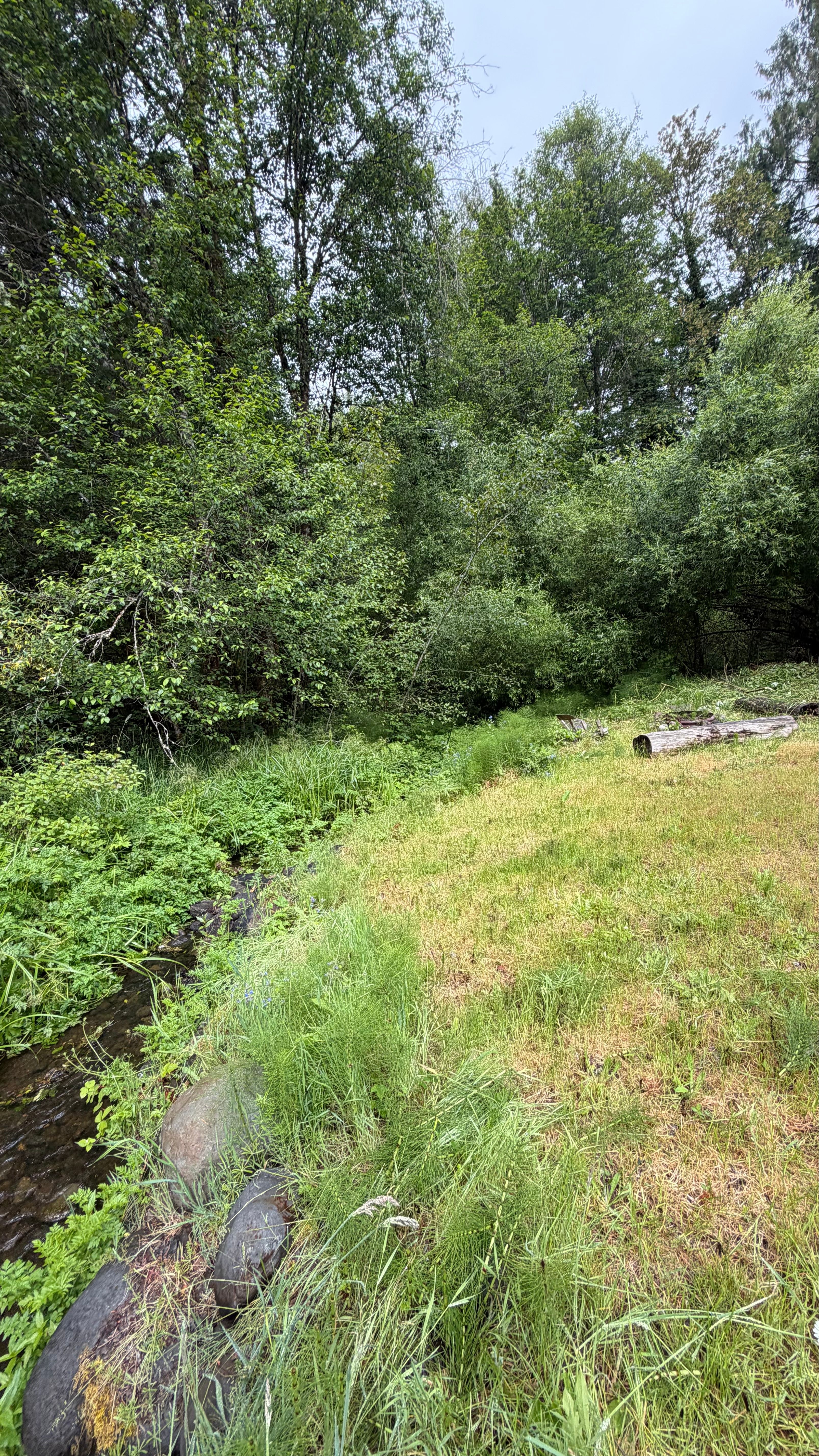 Camp spot with river access