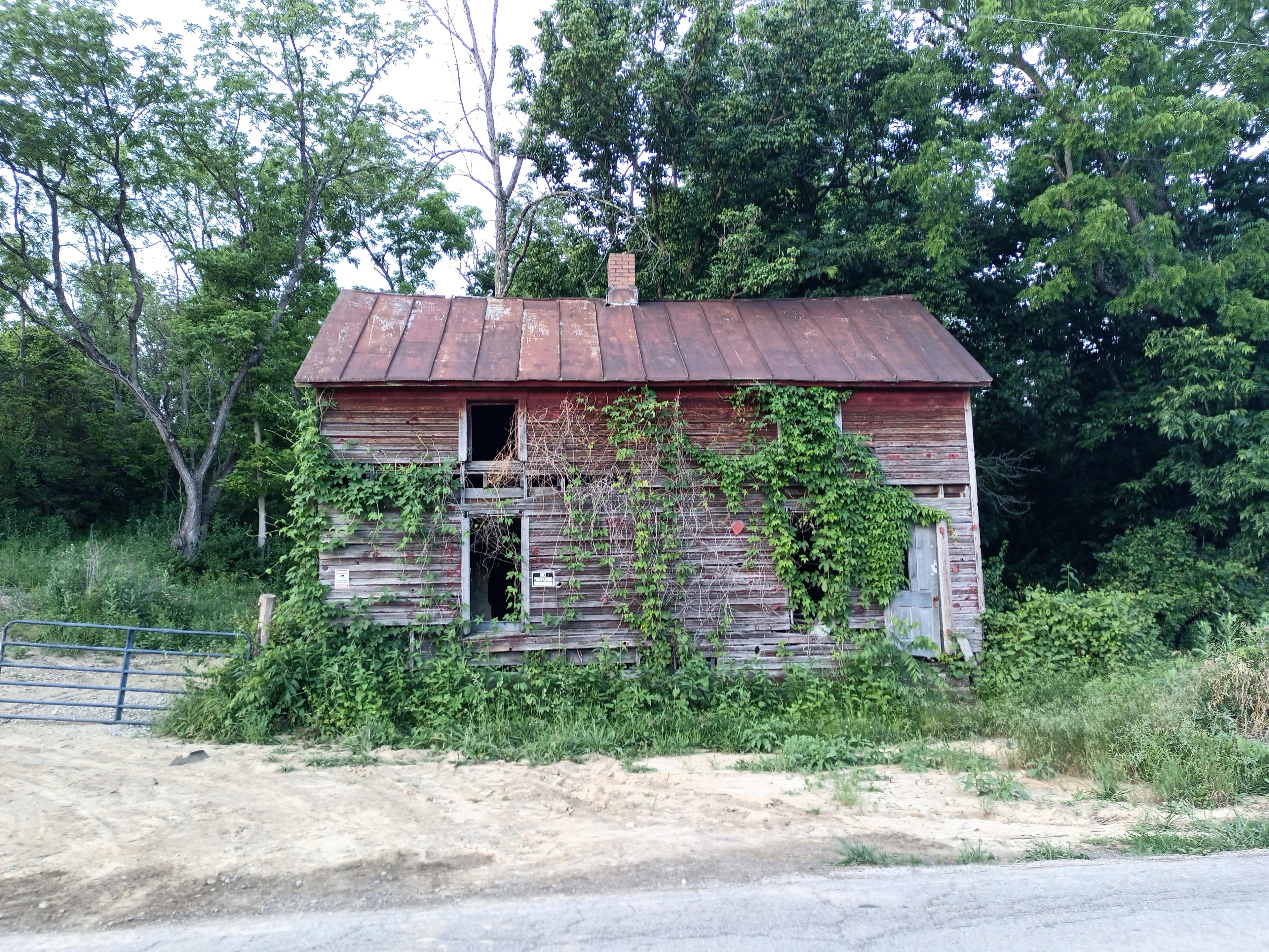Random bando off the trail 