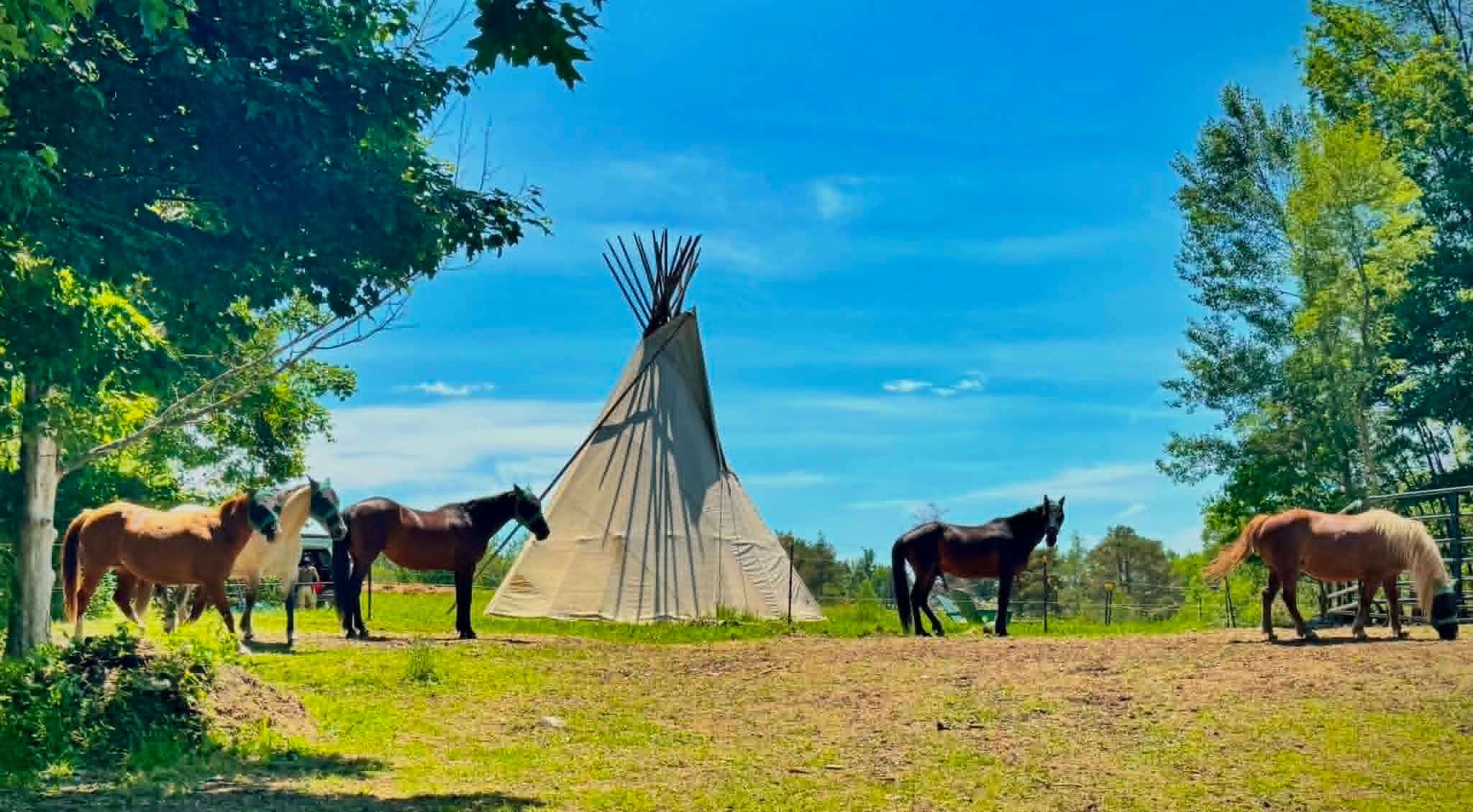 Cherry Plain Sanctuary Farm