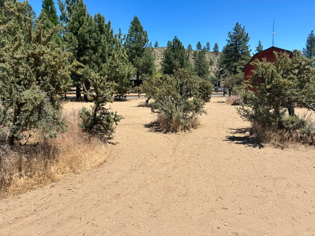 2 acres w/1000's of acres of forest