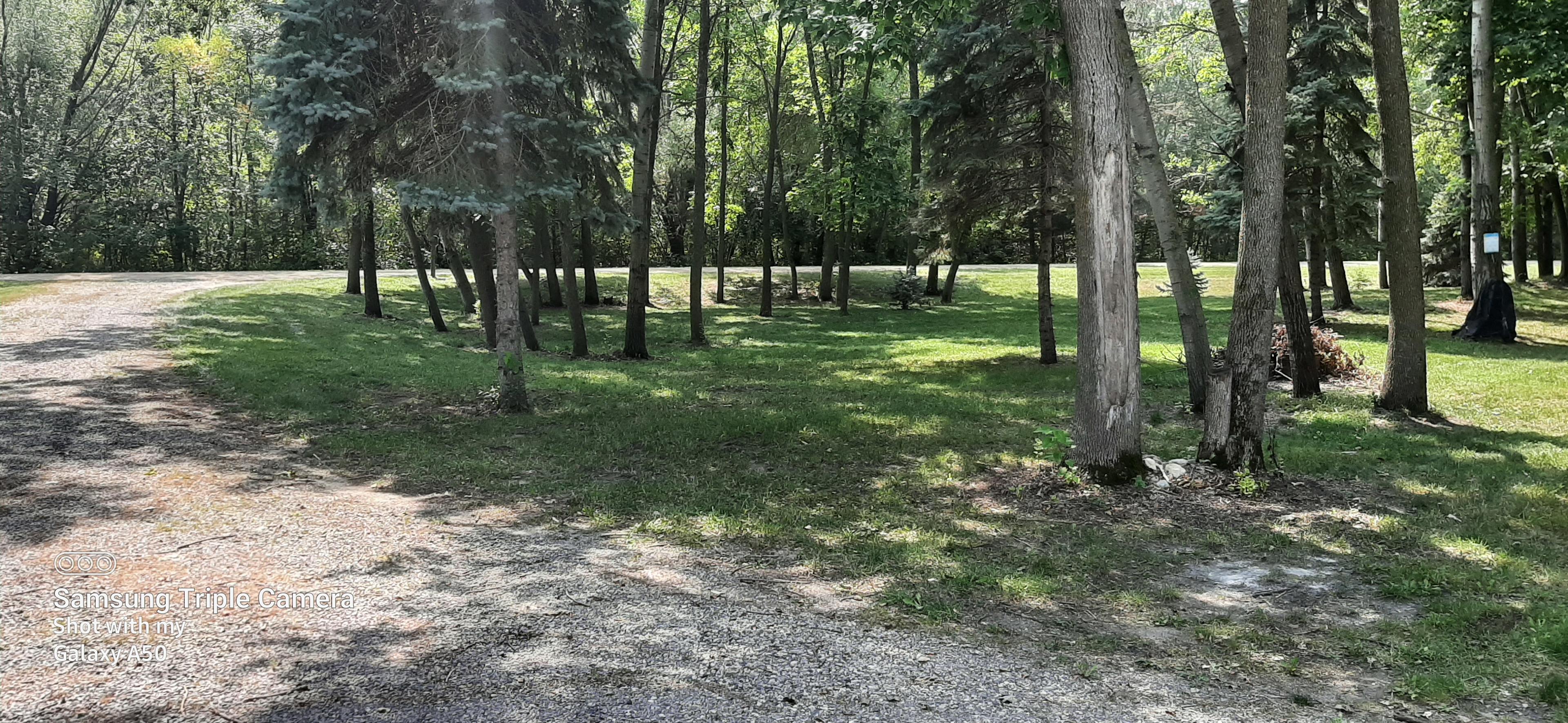 Dassel Lot