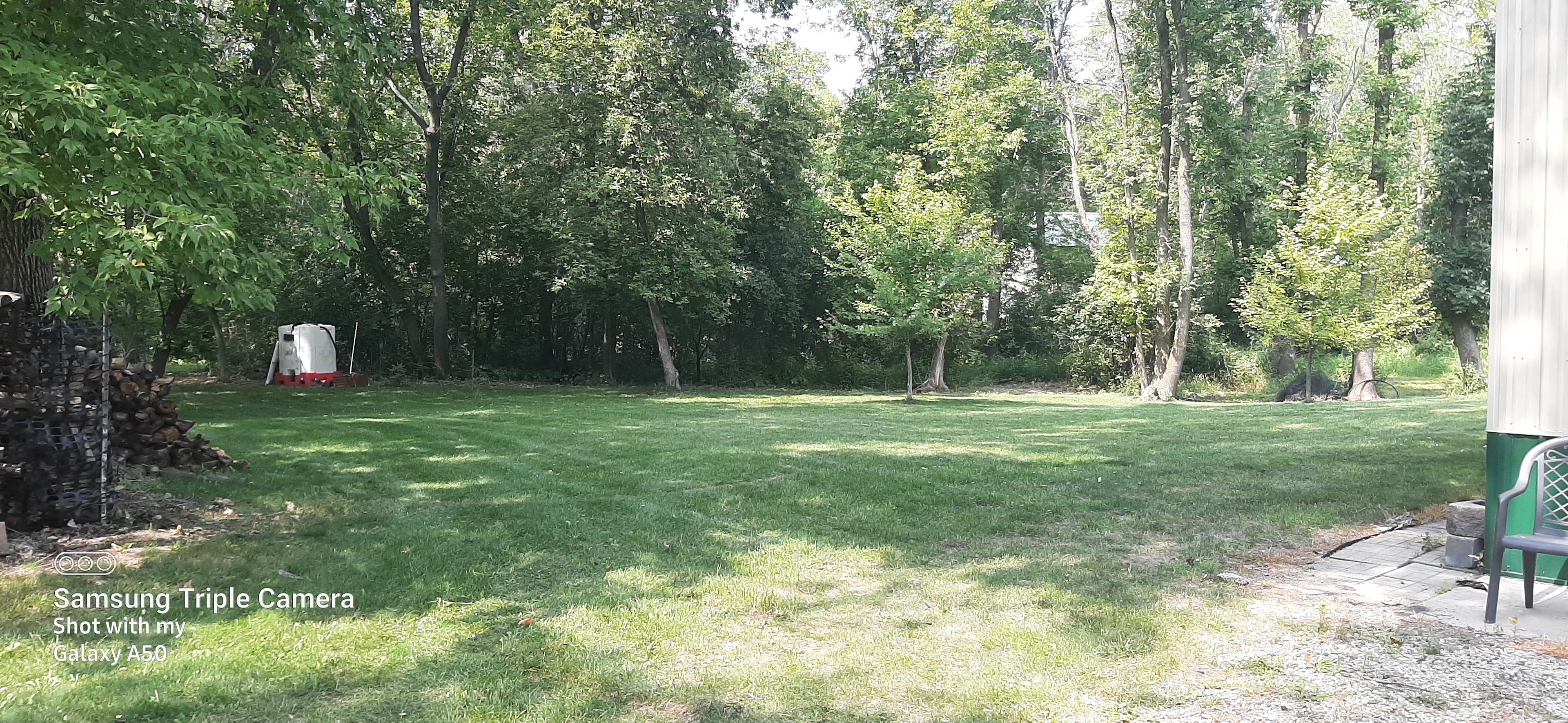 Dassel Lot