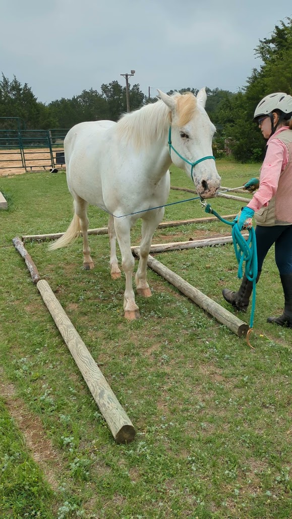 Cedar Grove Stables