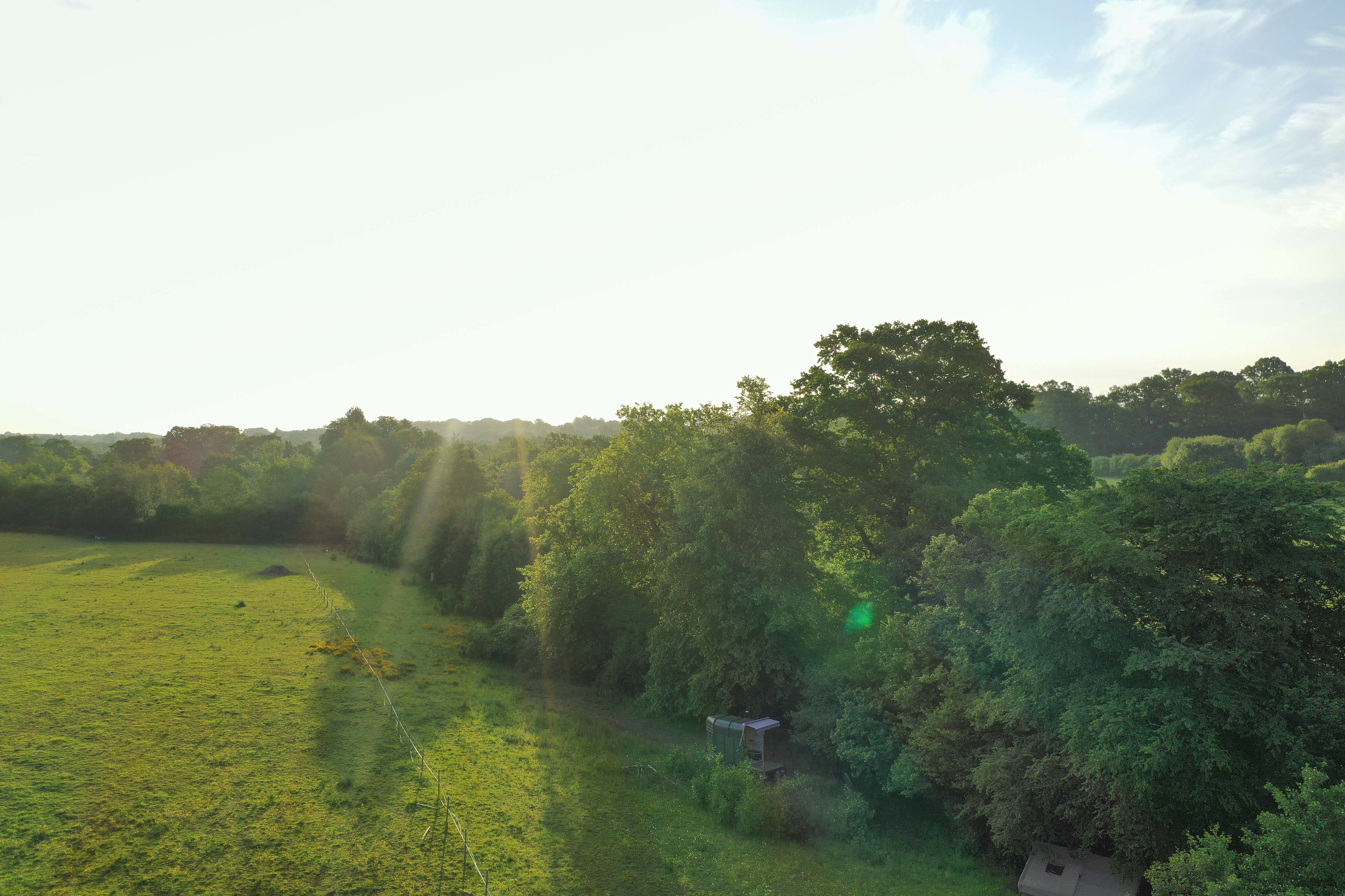 Wealderness