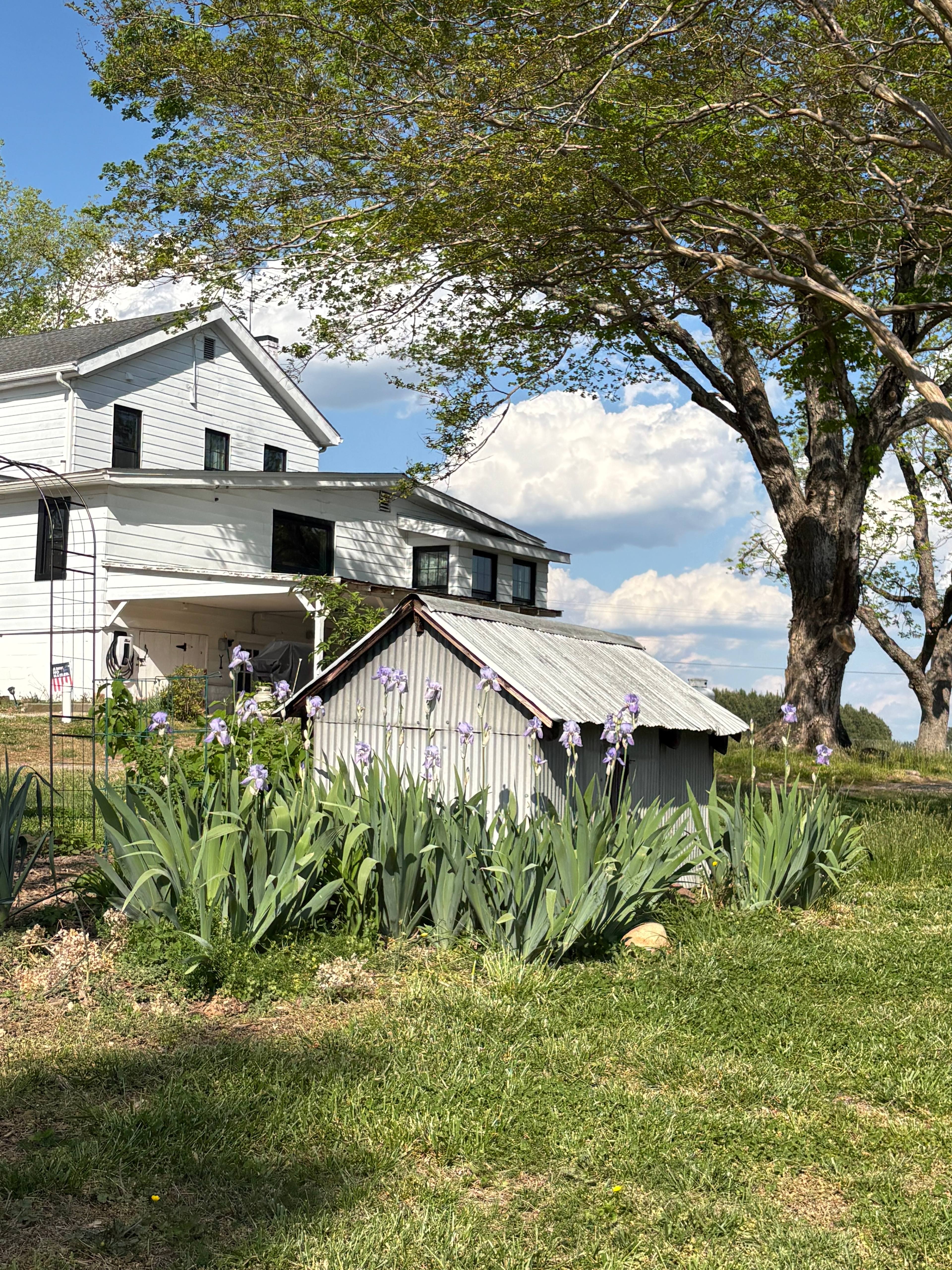 Bracey Farm