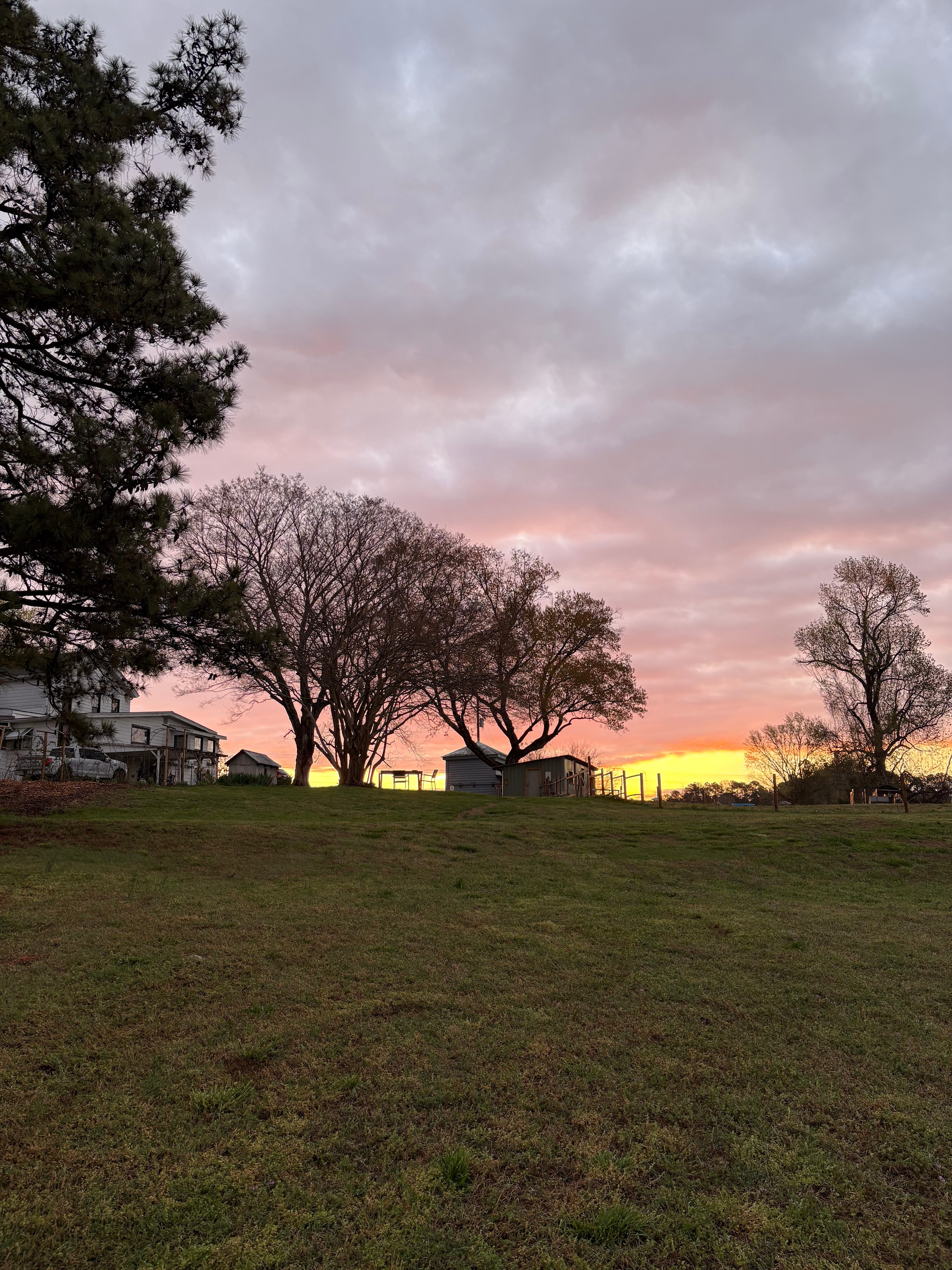 Bracey Farm