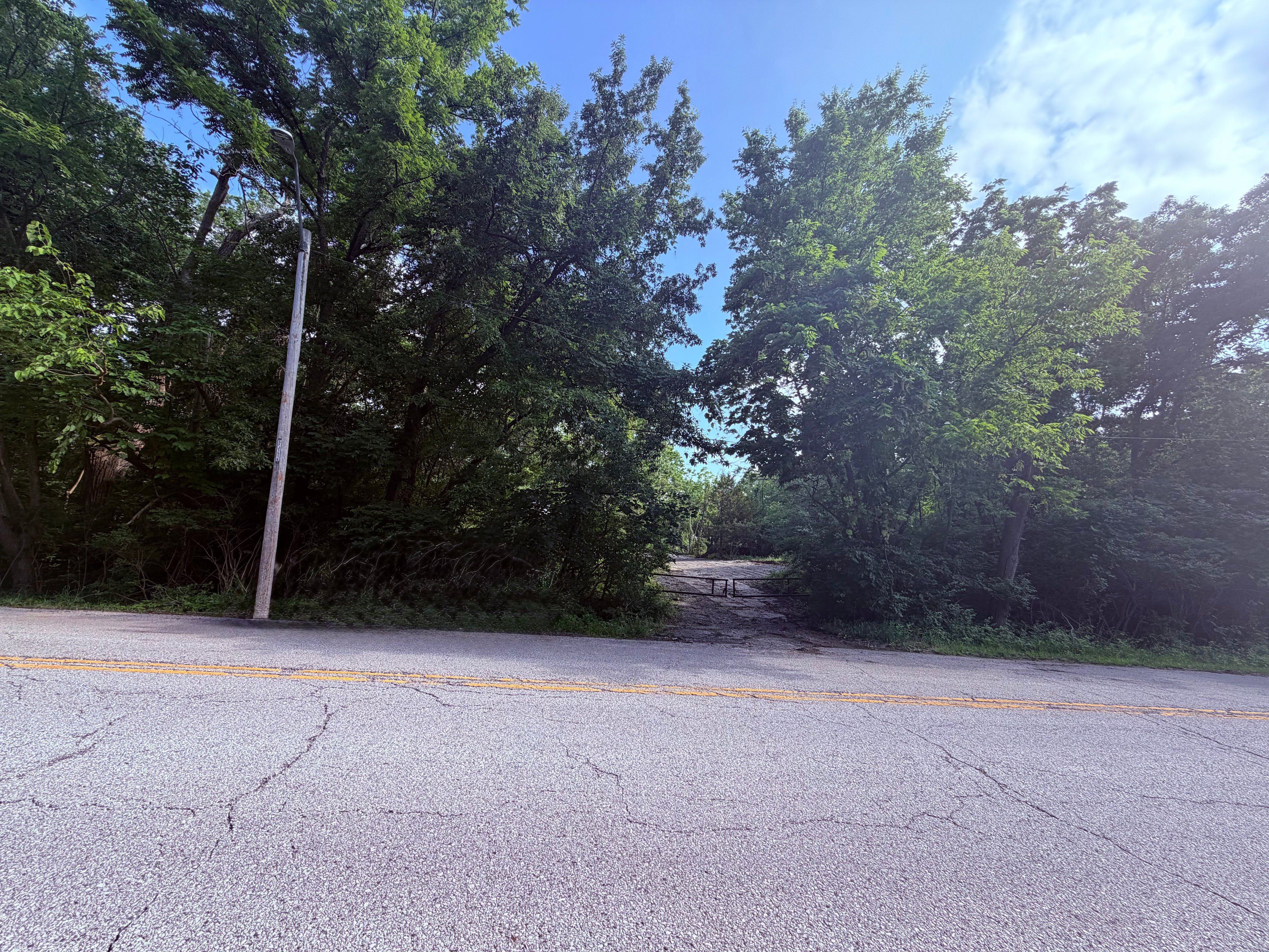 Black Walnut Grove