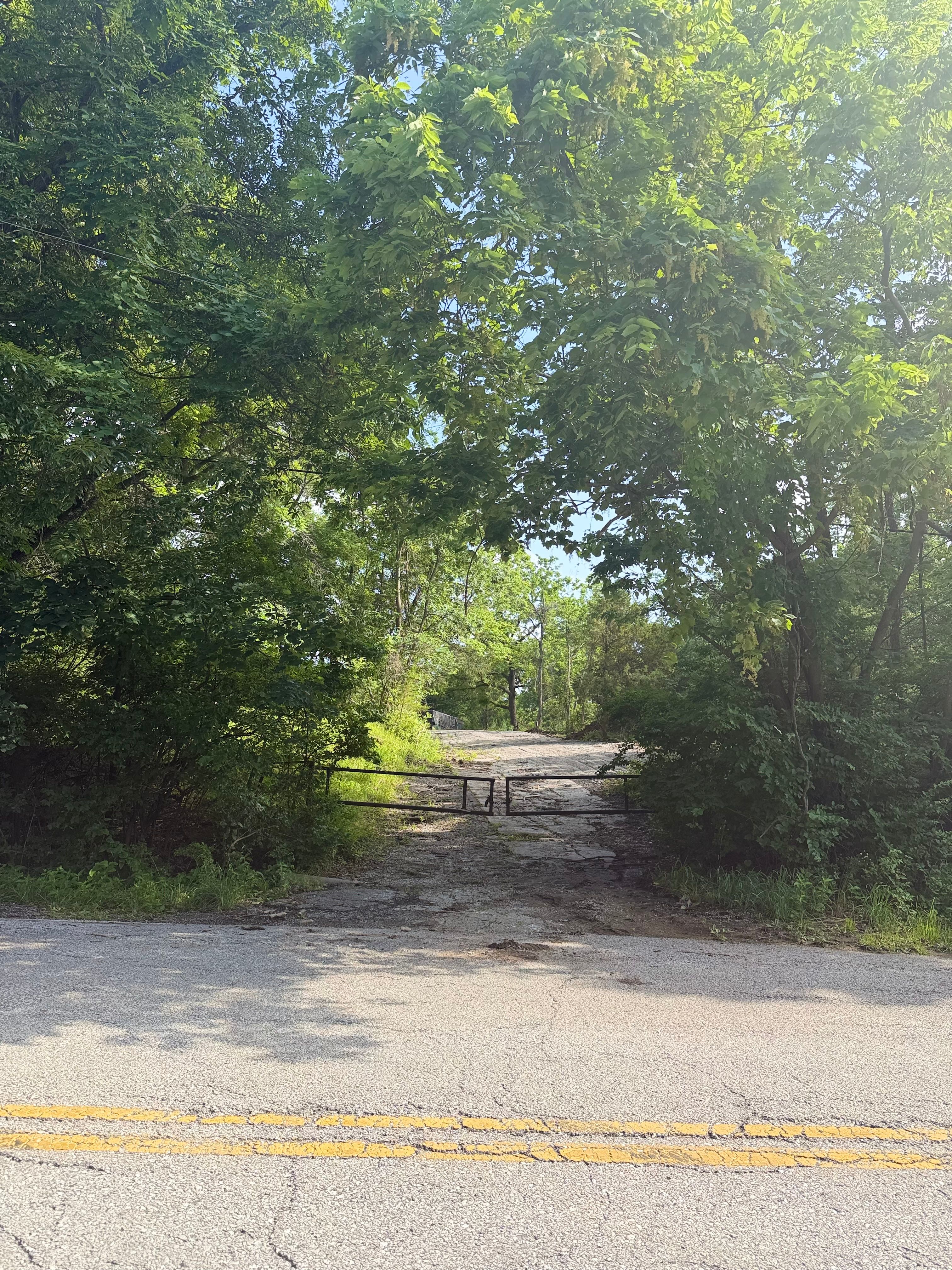 Black Walnut Grove