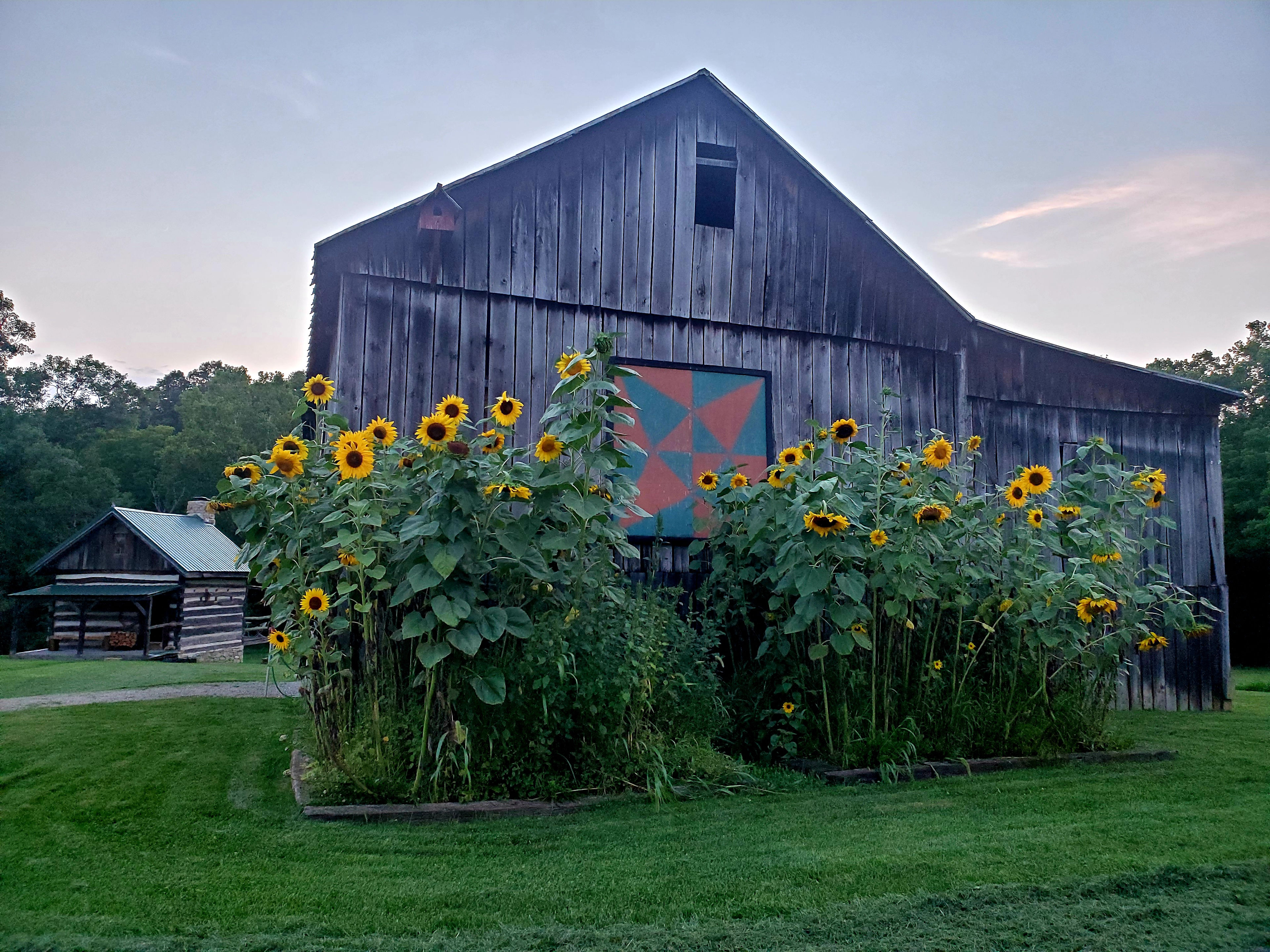 Hills Fork Farm